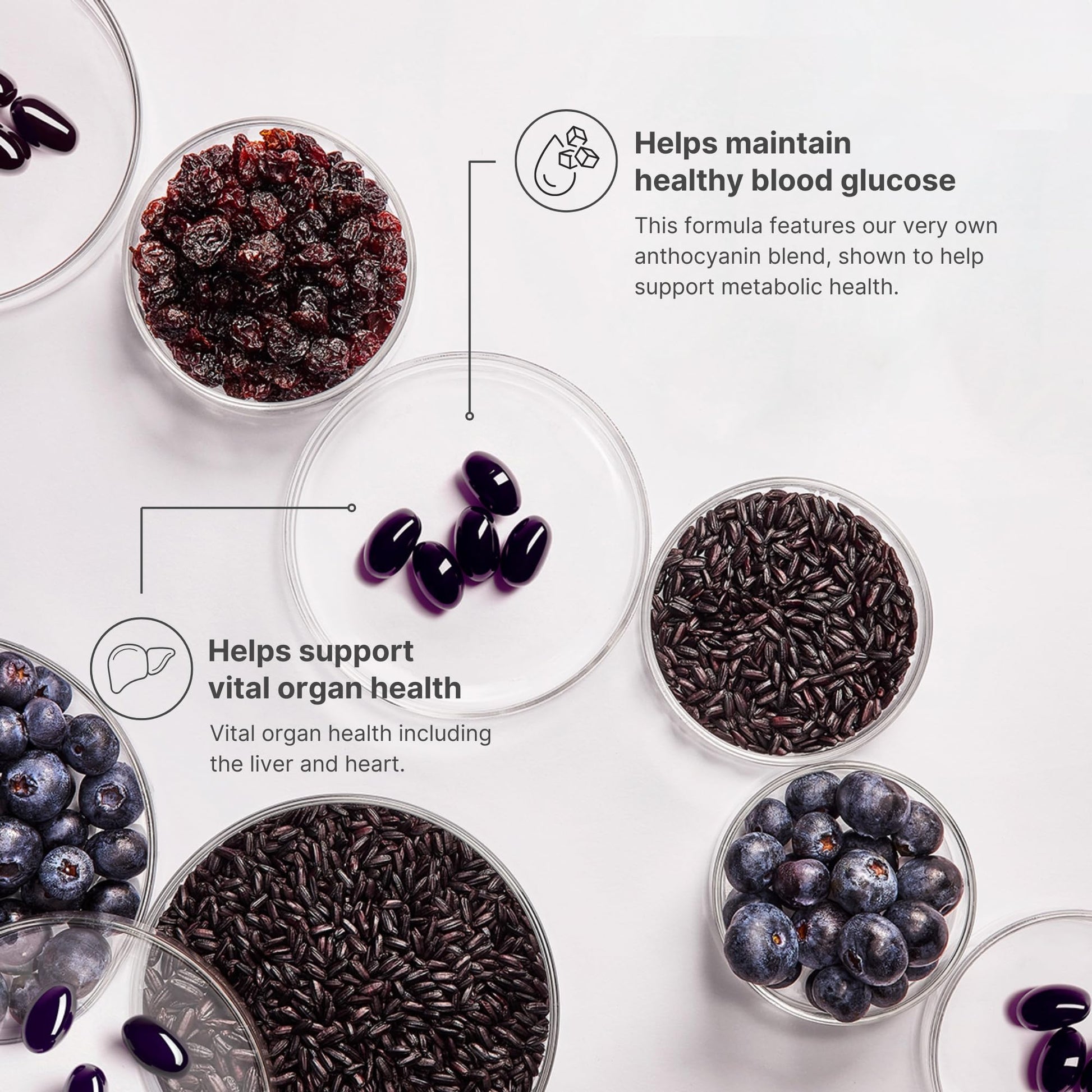 Nu Skin ageLOC Meta | Premium Dietary Supplement | Advanced Soft Gel Capsules Promoting Metabolic Health, Immune Support, Antioxidant Defense, and Improved Gut Health Nu SkinAu supplements