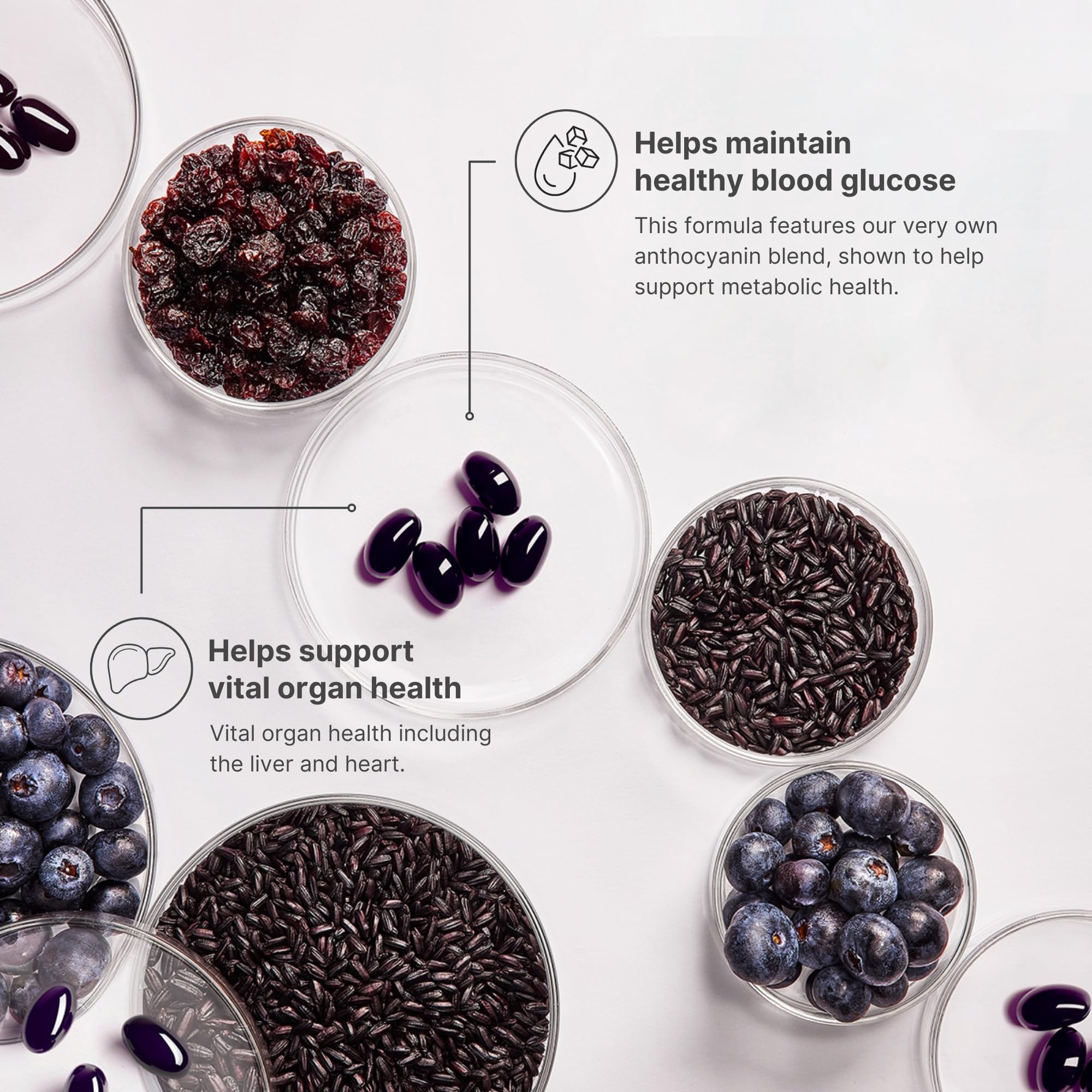 Nu Skin ageLOC Meta | Premium Dietary Supplement | Advanced Soft Gel Capsules Promoting Metabolic Health, Immune Support, Antioxidant Defense, and Improved Gut Health Nu SkinAu supplements