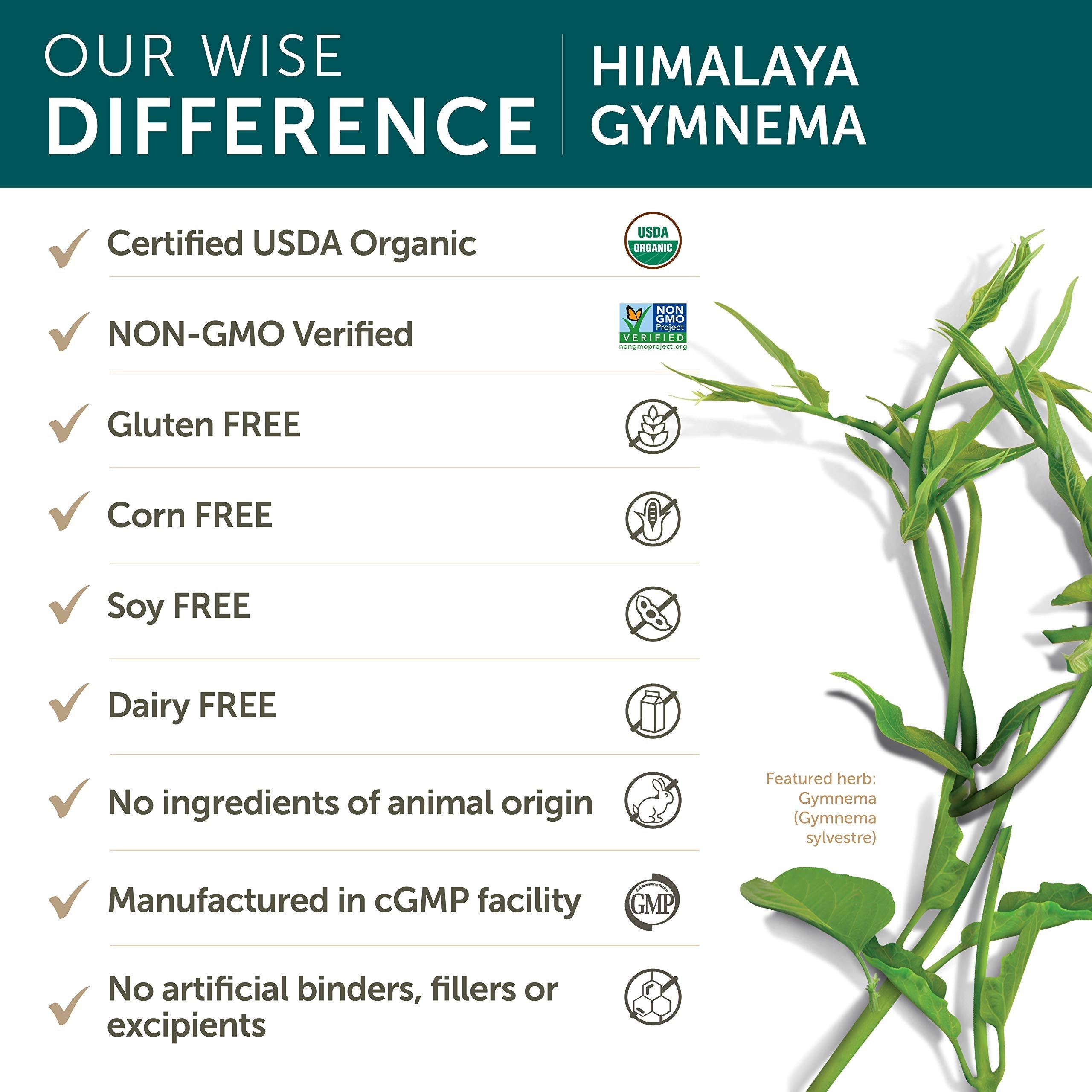 Himalaya Organic Gymnema Sylvestre for Glucose Metabolism, 700 mg HimalayaUS supplements