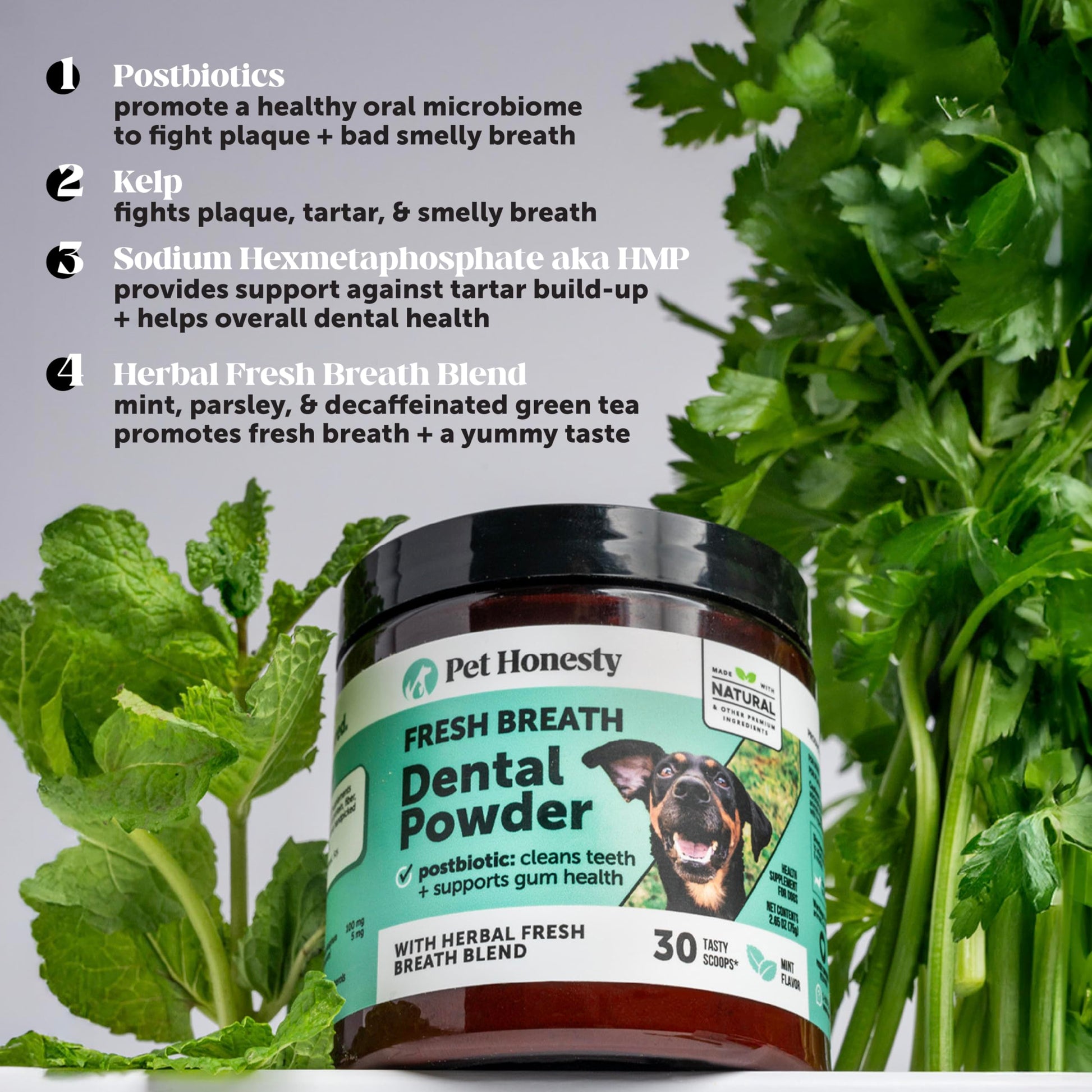 Dog Breath Freshener Dental Powder for Teeth Cleaning Plaque Off, Dental Care for Dogs, Tartar Remover for Teeth with Natural Herbal Blend + Postbiotics (Mint - 30 Servings) Pet HonestyAu supplements