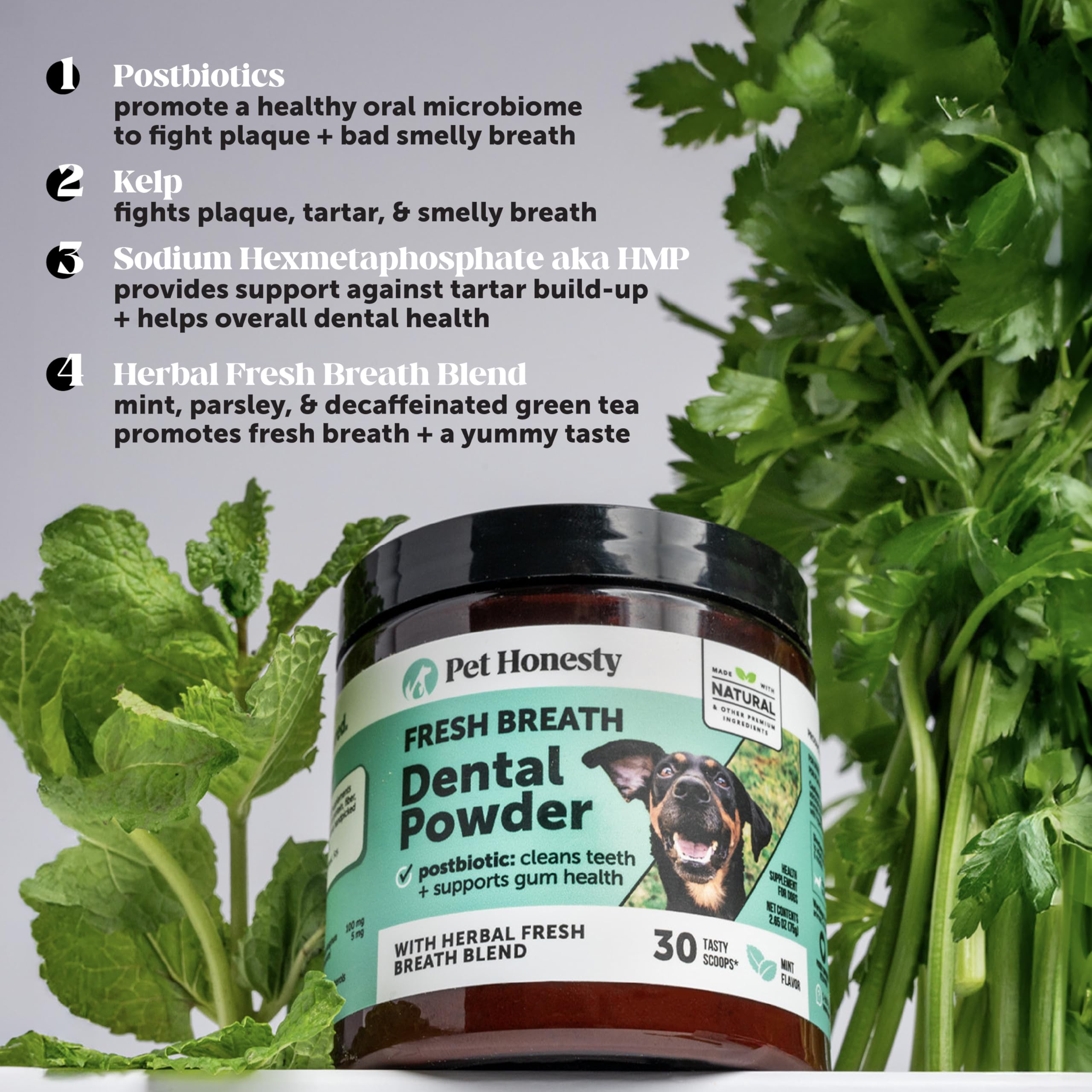 Dog Breath Freshener Dental Powder for Teeth Cleaning Plaque Off, Dental Care for Dogs, Tartar Remover for Teeth with Natural Herbal Blend + Postbiotics (Mint - 30 Servings) Pet HonestyAu supplements