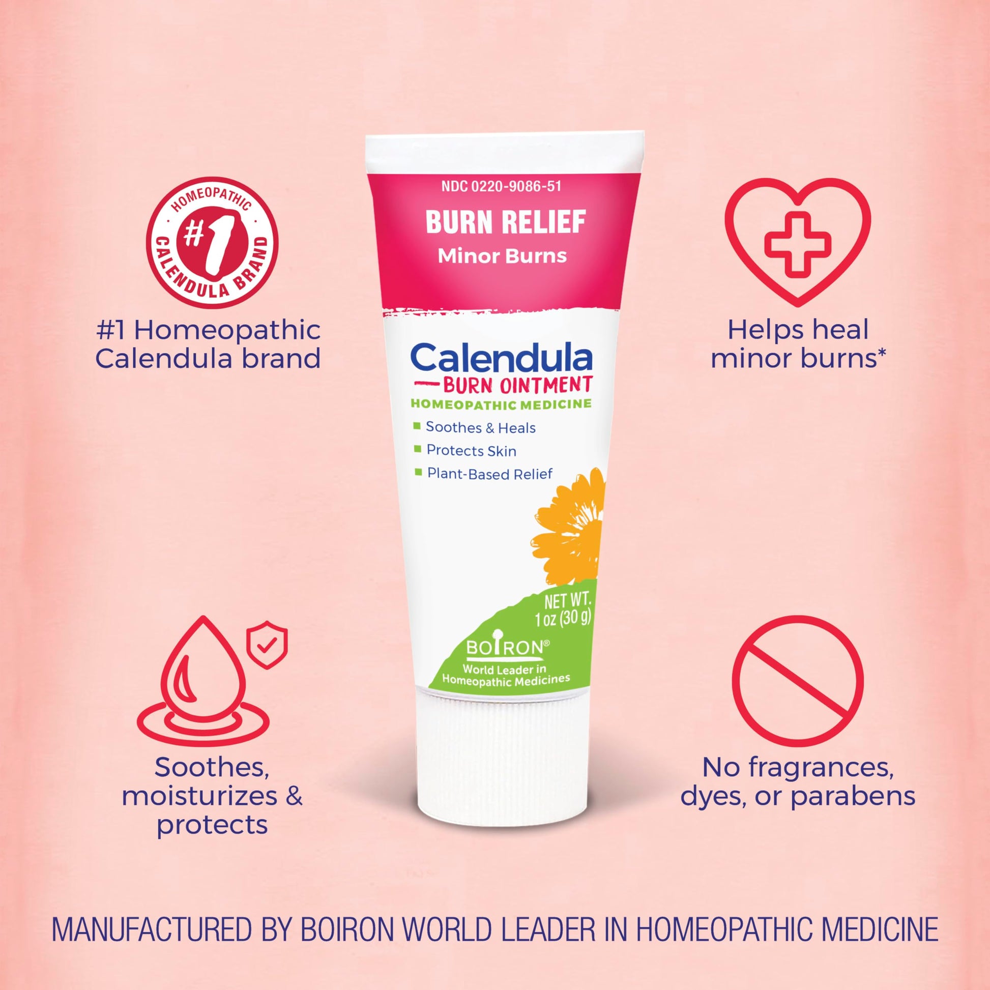 Boiron Calendula Burn Ointment for Relief from Minor Burns from Cooking, Friction, or Sunburns - 1 oz BoironAu supplements