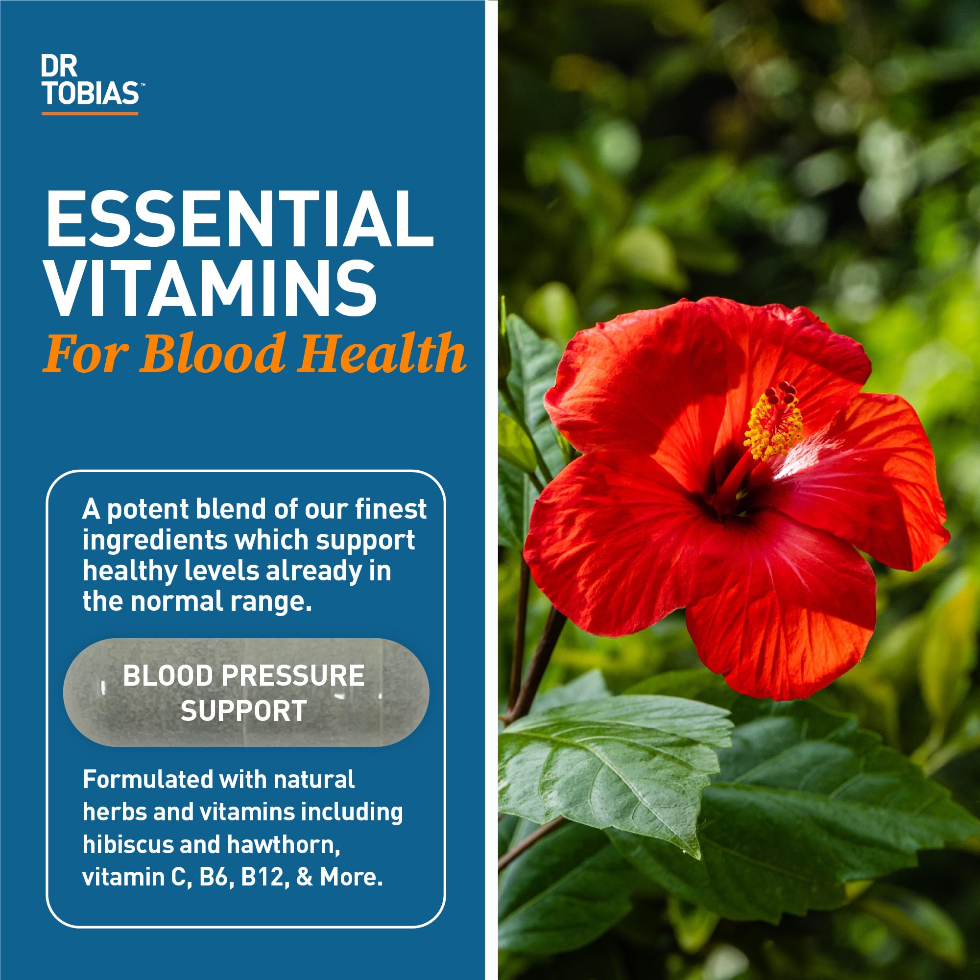 Dr. Tobias Blood Pressure Support Supplement with Hawthorn, Hibiscus Flower, Olive Leaf & Garlic, Supports Normal Circulatory Health with Vitamins C, B6, B12, Niacin, Folate & Herbs, 90 Capsules Dr. TobiasAu supplements