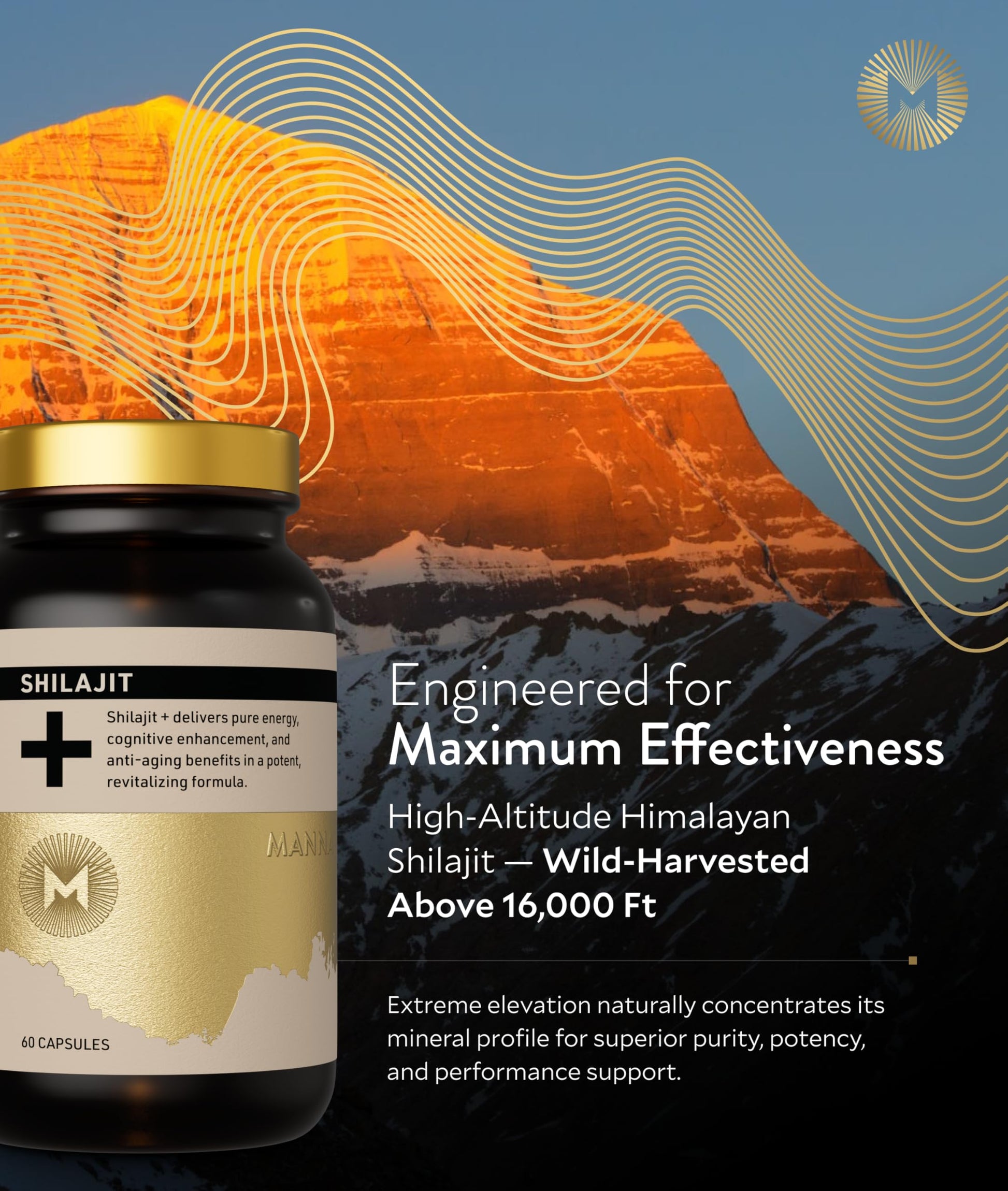 Manna Vitality Shilajit+ Capsules | 1000mg Purified Himalayan Shilajit Resin Supplement | Highest Bioavailability | Energy, Performance, Detox, Vitality, Mental Clarity & Cognitive Support | 60 Count M MannaAu supplements