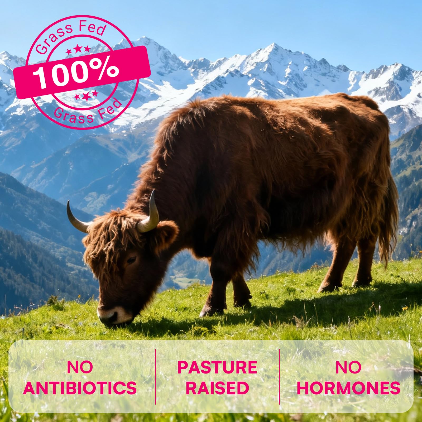 12-In-1 Beef Organ Supplement for Women - Beef Liver, Uterus, Kidney, Heart, Pancreas, 5 Vitamins & 2 Herbs, Hormone Balance, Menstruation, Energy, Immune - 100% Grass Fed, Pasture Raise - 120 Caps NassiouyAu supplements