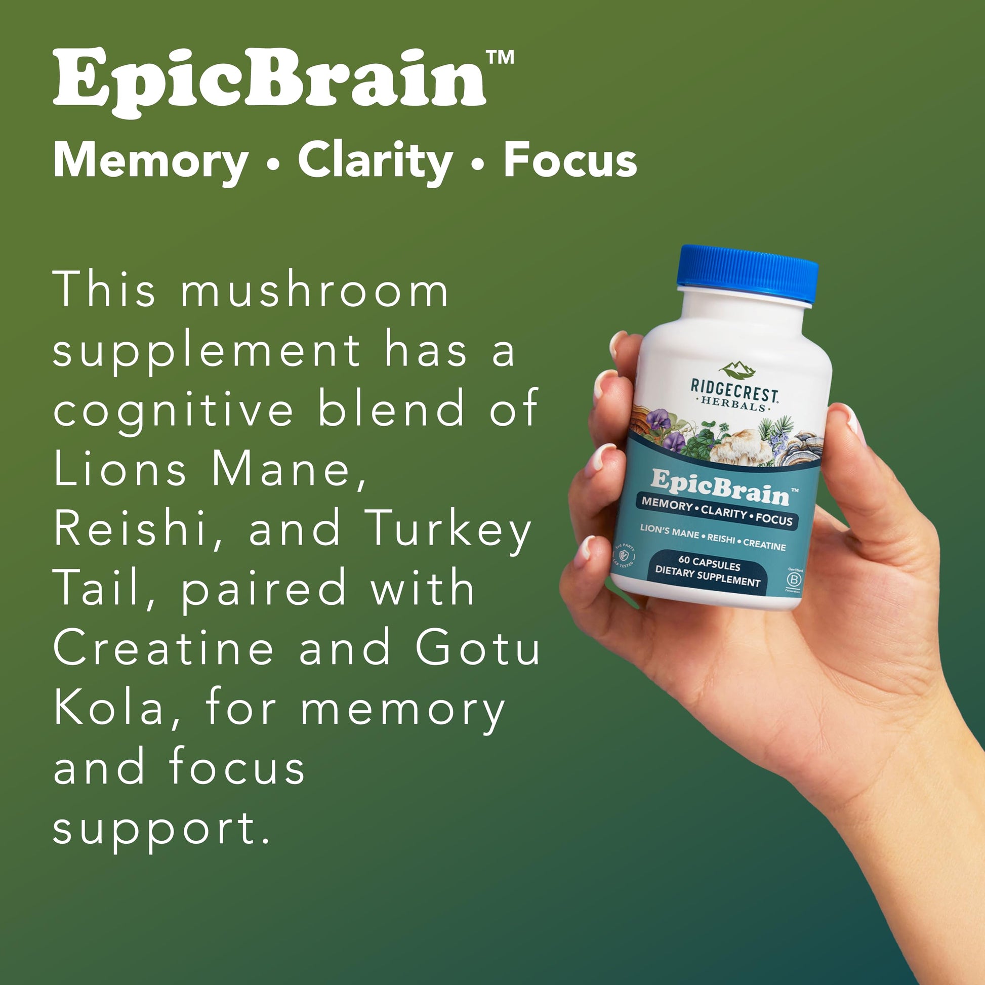RidgeCrest Herbals EpicBrain, Natural Brain Support Supplement with Creatine Monohydrate, Lion's Mane, Reishi, Supports Mental Clarity, Memory, Focus, Stimulant-Free Nootropic (60 Count, 30 Servings) RidgeCrest HerbalsAu supplements