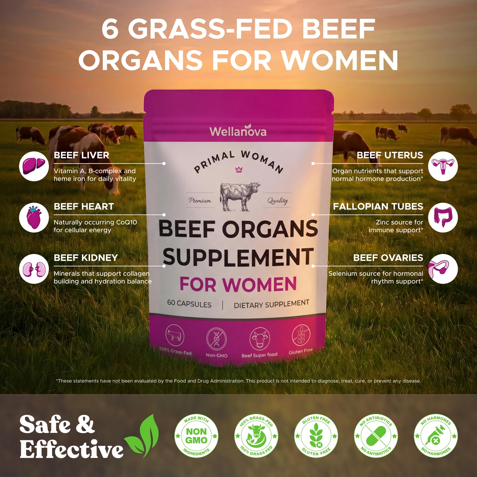 Primal Beef Organ Supplement for Women, Grass-Fed Ancestral Superfood Supplement with Uterus & Liver for Hormone Balance & Queen Energy - 60 Day Supply WellanovaAu supplements