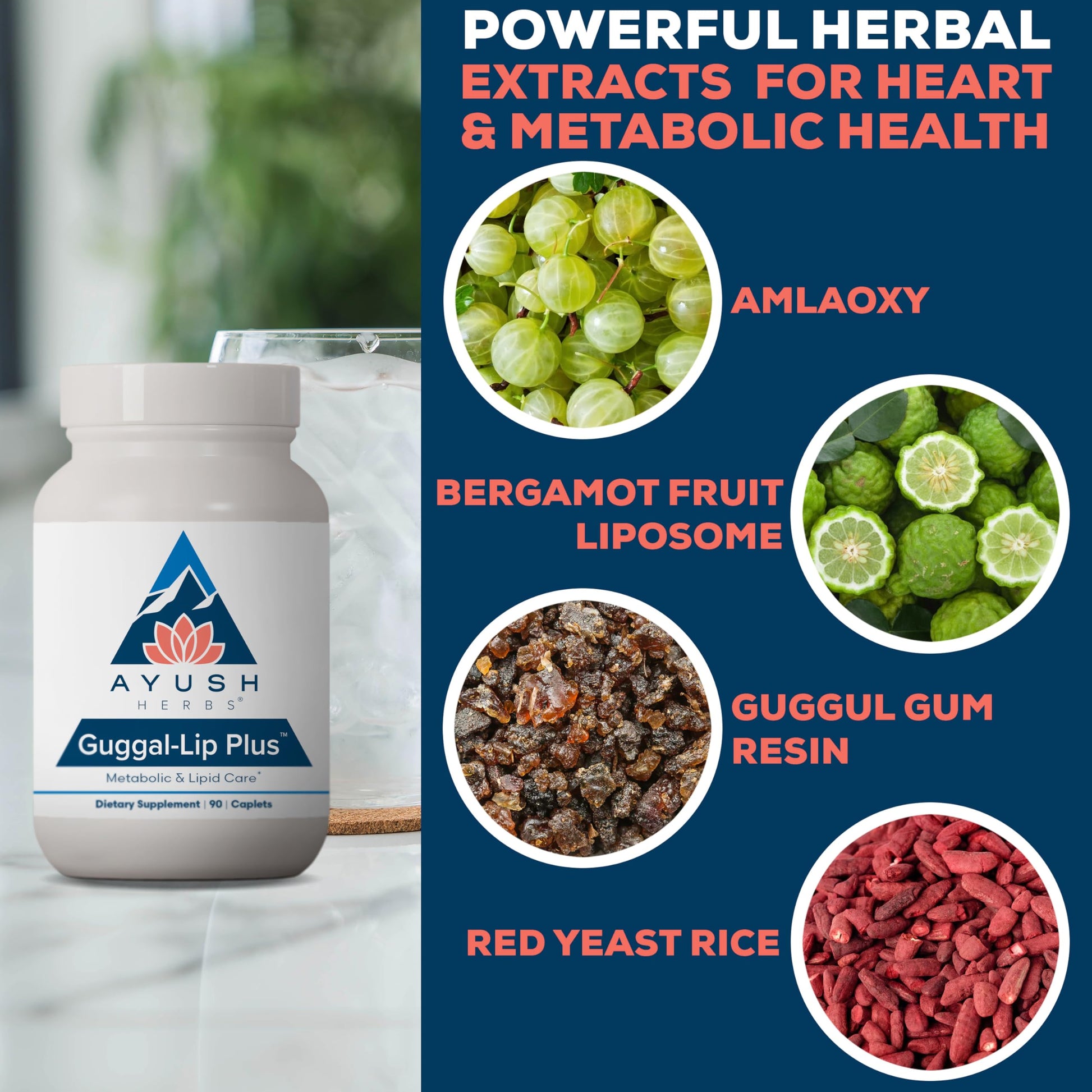 Ayush Herbs Guggal-Lip Plus - Metabolic Vitamins for Women & Men, Daily Pill, Pure & Natural Metabolic Health Supplement with Guggul - 90 Vegetarian Caplets (1 Count) Ayush HerbsAu supplements