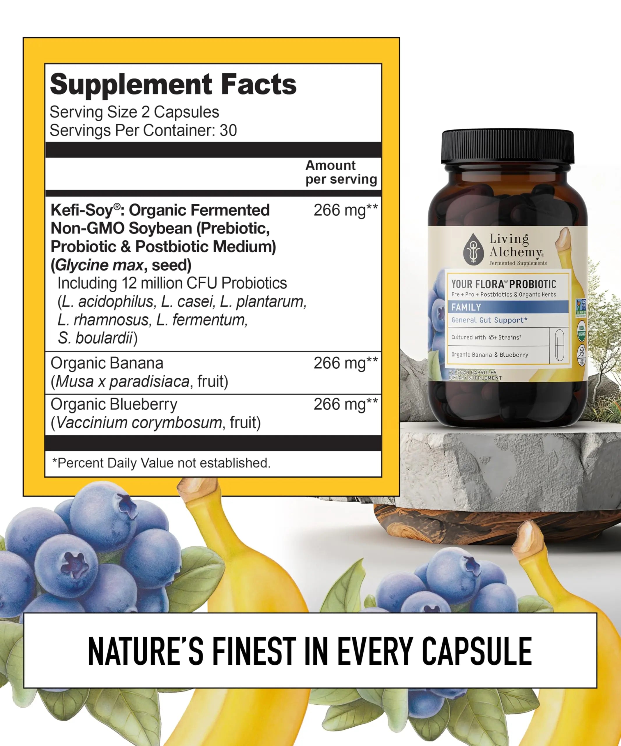 Your Flora Probiotic Family – Non-GMO Probiotics with Fermented Soybean, Banana, & Blueberry for Digestion & Gut Support – Prebiotics, Postbiotics, Digestive Enzymes – Living Alchemy, 60 Capsules Living Alchemynz supplements