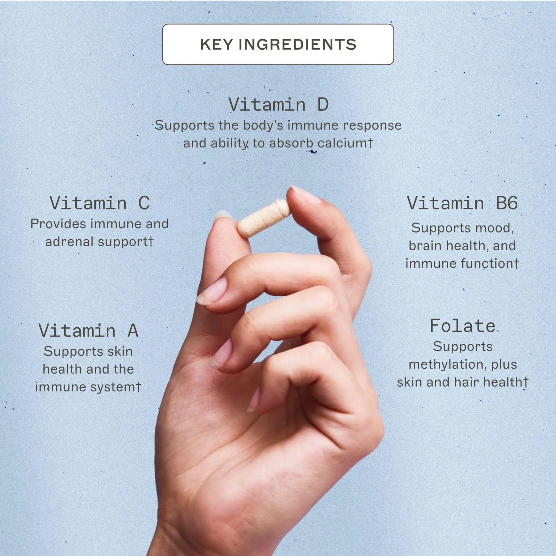 Amy Myers MD The Myers Way Multivitamin - Supports Healthy Immune, Thyroid & Adrenal Function Amy Myers MDAu supplements