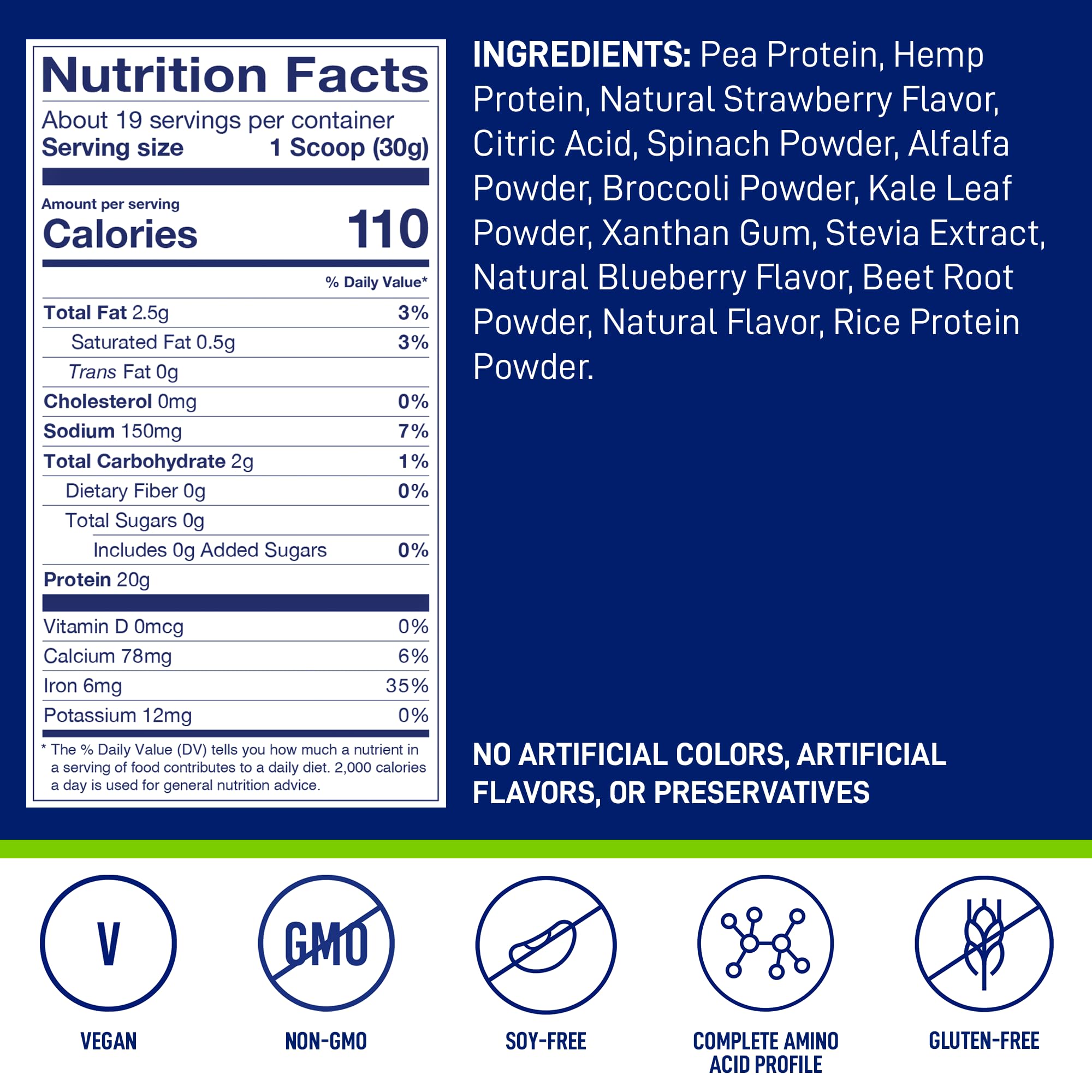 LeanFit Plant-Based Protein & Greens, Natural Berry, 20g Protein, 19 Servings, 1.25 Pound LeanFitUS supplements
