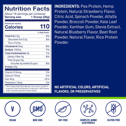 LeanFit Plant-Based Protein & Greens, Natural Berry, 20g Protein, 19 Servings, 1.25 Pound LeanFitUS supplements