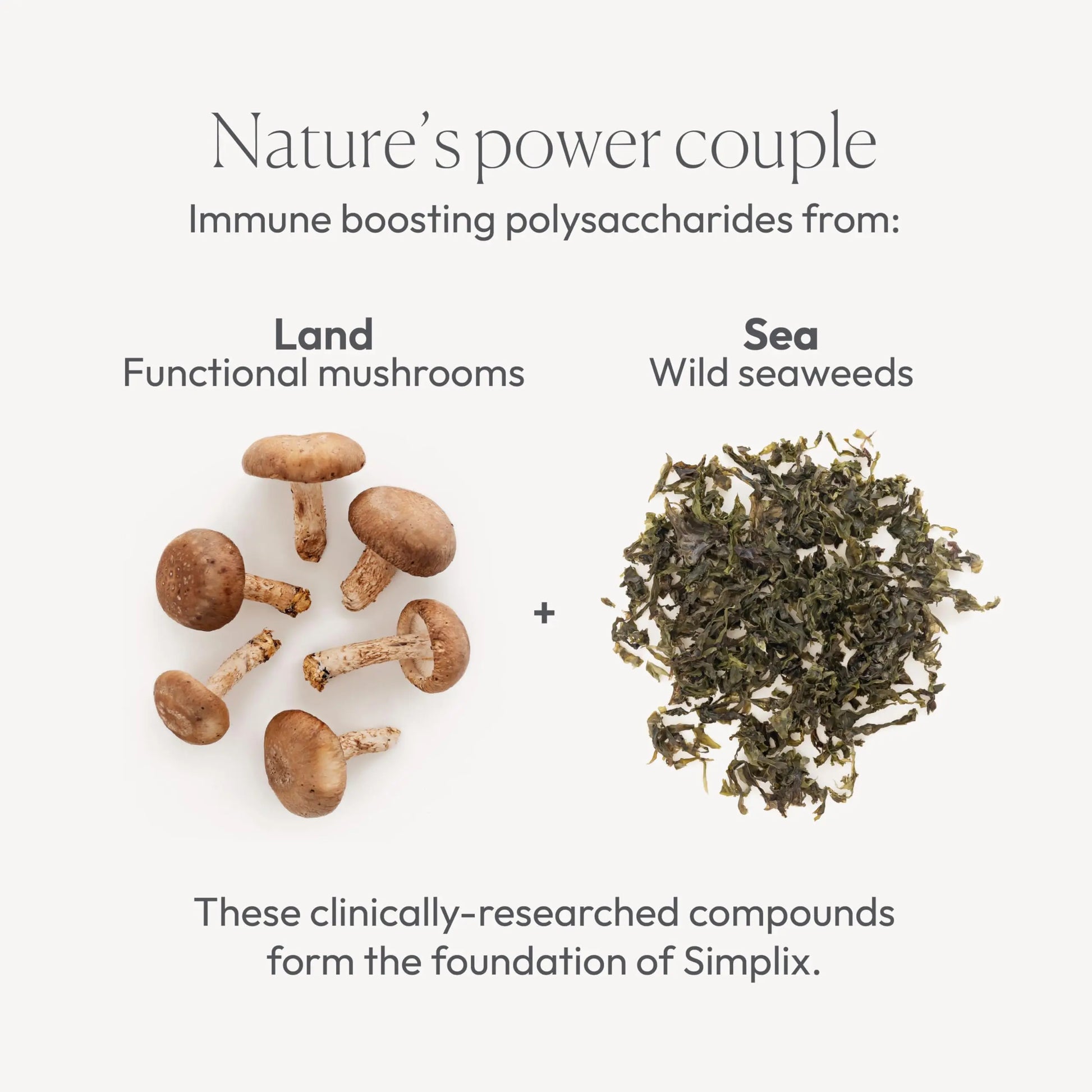 Simplix | Natural Supplement to Strengthen The Immune System | Respond to Outbreaks | Source of Highly Researched Mushroom & Seaweed Polysaccharides 60 Veggie Capsules (3 Pack) (180 Count) Papillexnz supplements