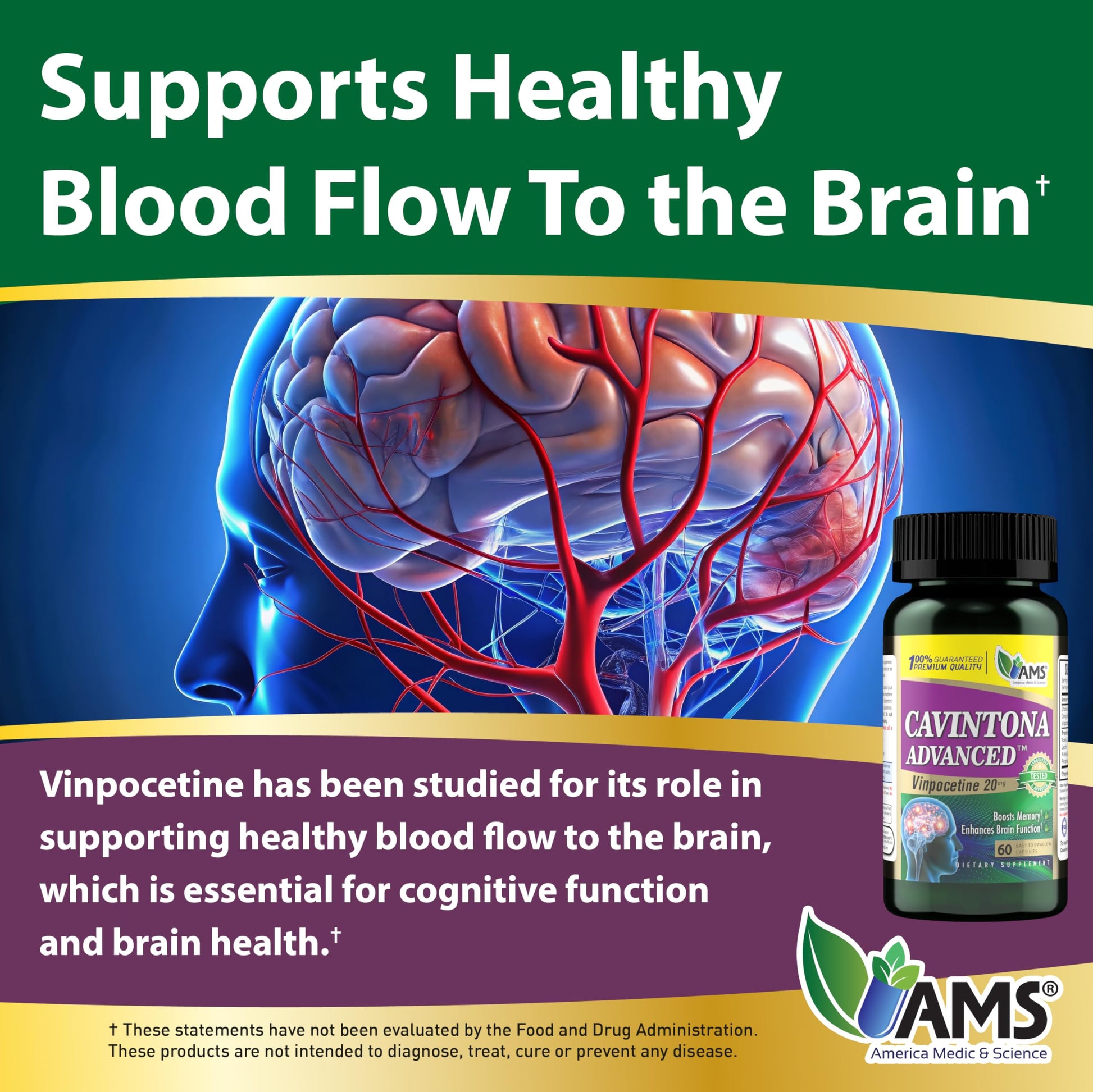 America Medic & Science Cavintona Advanced Supplement – Vinpocetine 20mg for Memory, Recall & Brain Health – Supports Cognitive Function, Focus, Mental Clarity & Blood Flow – 60 Capsules America Medic & ScienceAu supplements