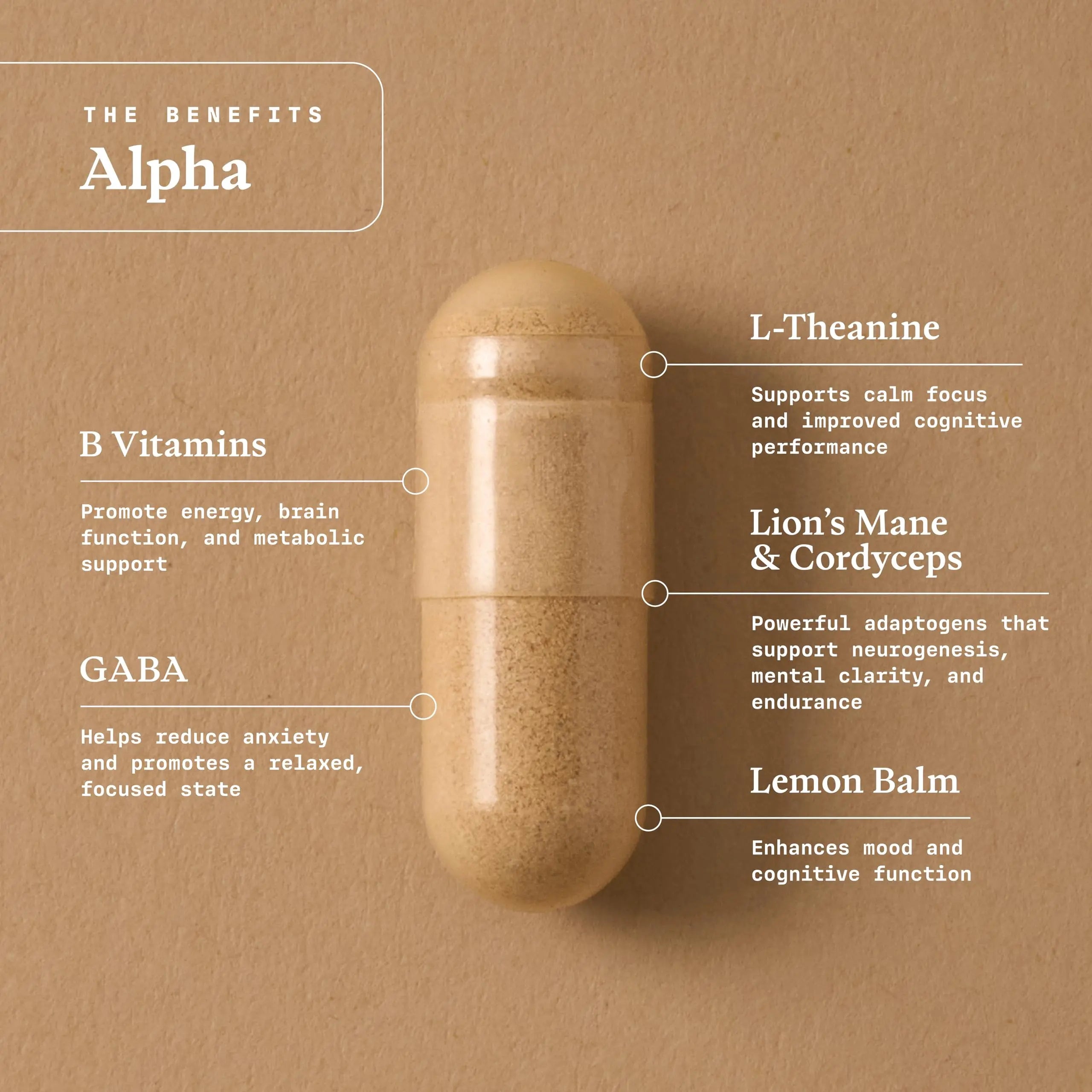 Ultra Life Sport - Alpha Nootropic - 30 Capsule Body and Brain Supplements for Memory and Focus - L-Theanine, B Vitamins, Lion's Mane, Cordyceps Mushrooms, Vitamin D3, K2 MK-7, Lemon Balm and Ginkgo Ultra Life Sportnz supplements