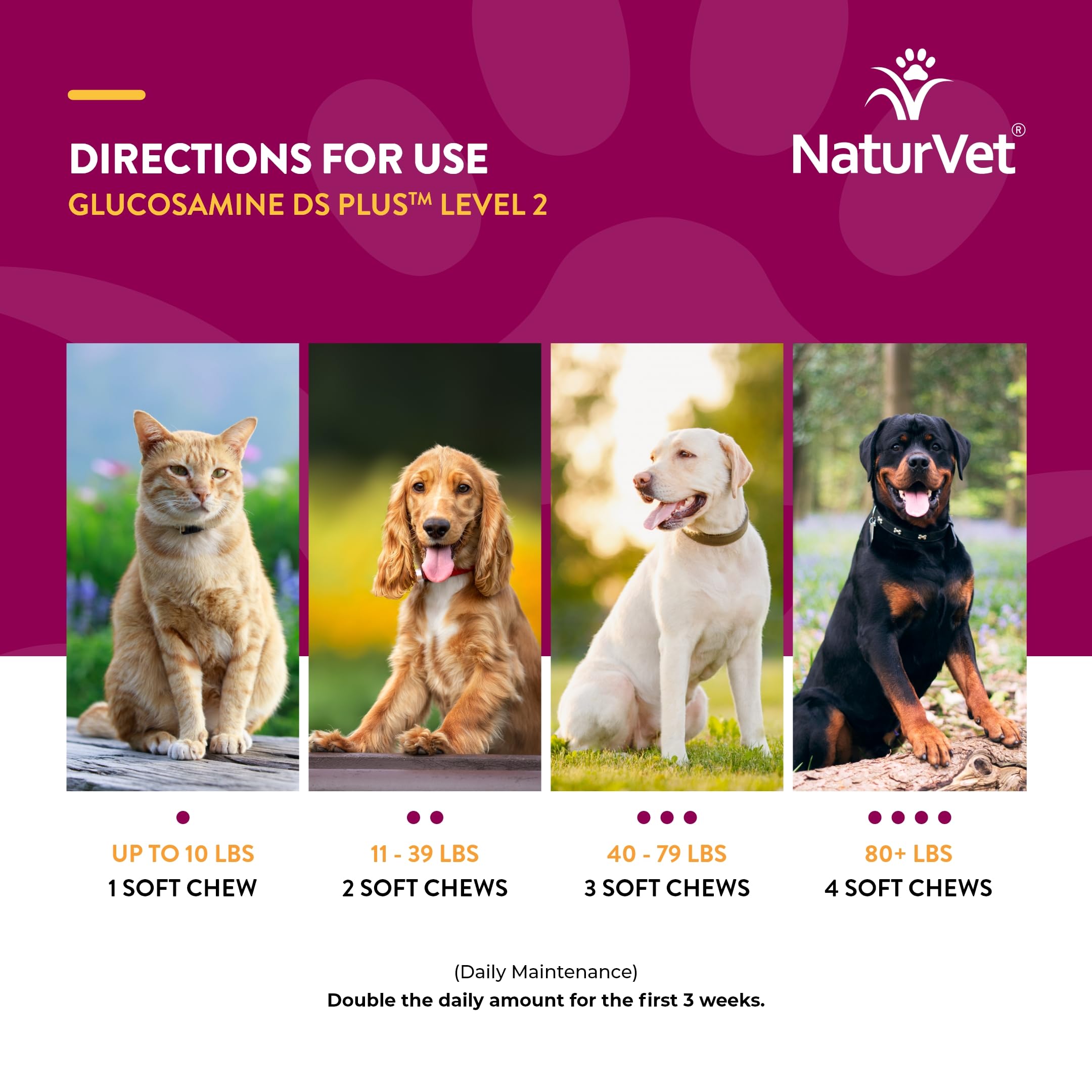 NaturVet – Glucosamine DS Plus - Level 2 Moderate Care – Supports Healthy Hip & Joint Function – Enhanced with Glucosamine, MSM & Chondroitin – for Dogs & Cats–120 Soft Chews NaturVetAu supplements