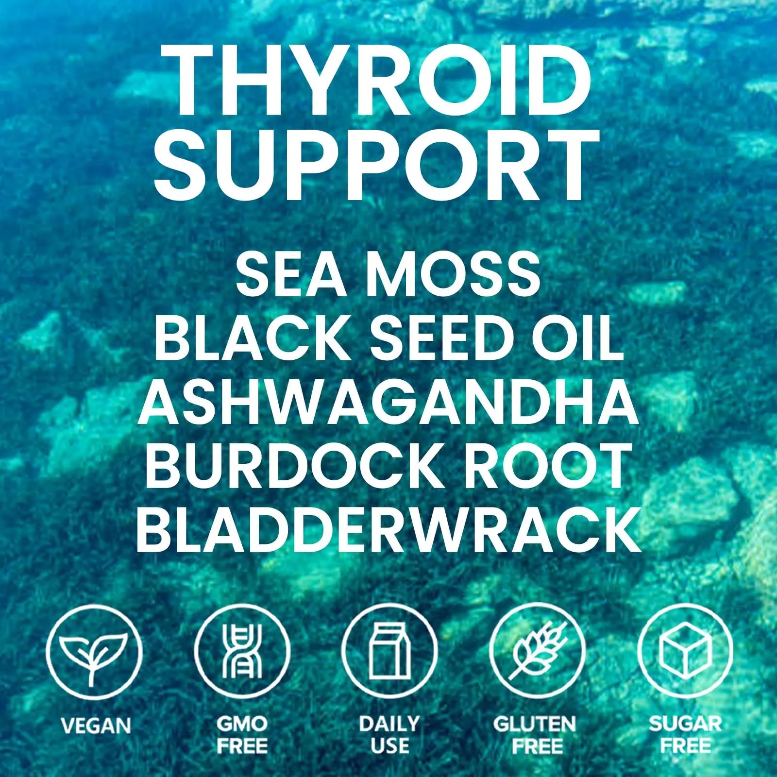 Velestoff Irish Seamoss Thyroid Hormone Regulator, Velestoff Thyroid Support Drops | Sea Moss, Black Seed Oil, Ashwagandha, Burdock Root, Bladderwrack, Hormone Balance & Support - 2 FL.OZ (1 Pcs) Velestoffnz supplements
