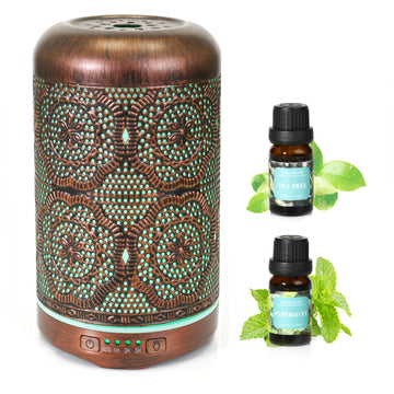 Essential Oil Diffuser, Upgraded Metal Diffusers with Lavender Lemon Essential Oils, 250ml BAIESHIJIAu supplements