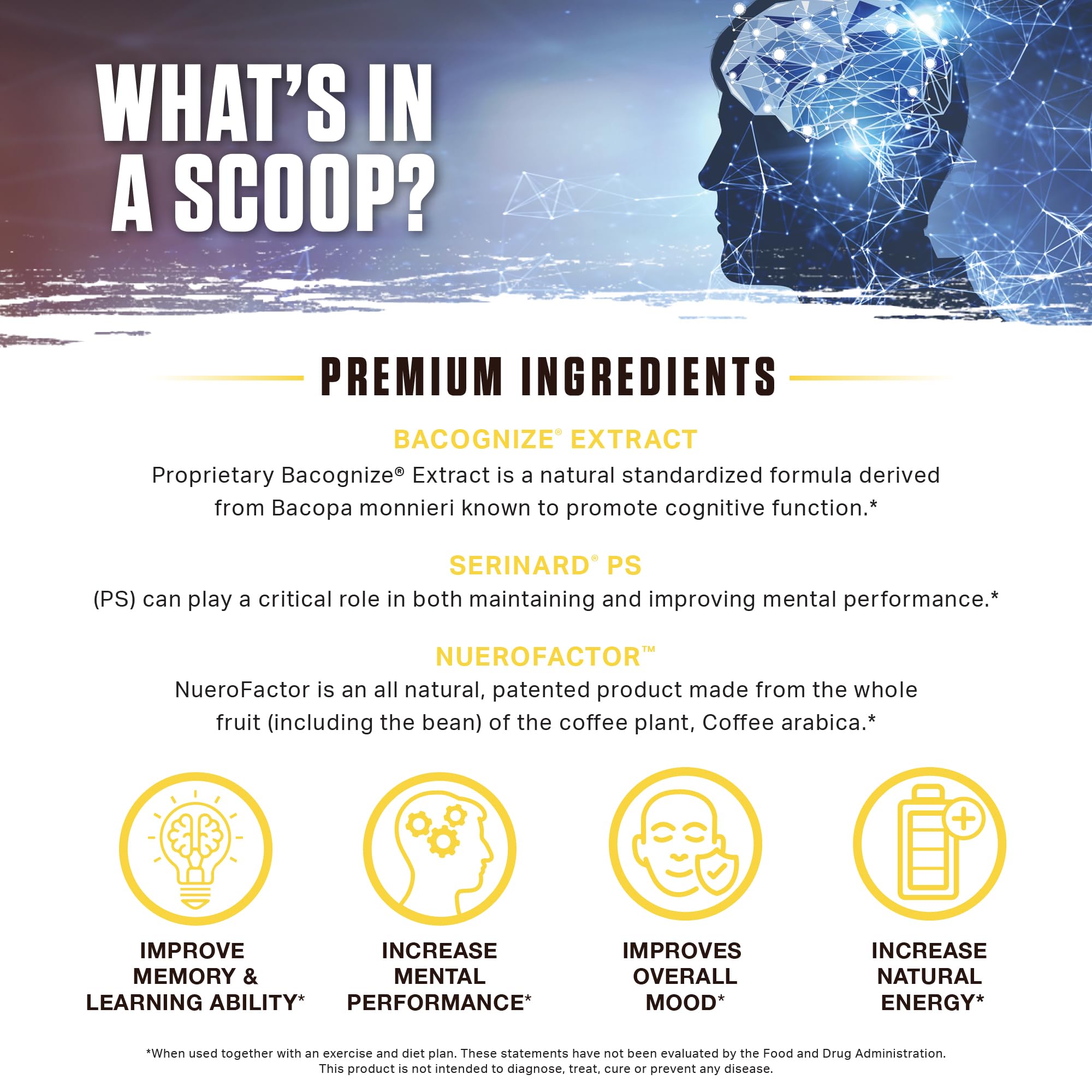 Ambrosia Mental Jewels Nootropic Brain Supplement Powder | Alpha GPC, Bacopa & Phosphatidylserine | Memory, Focus & Concentration Support | 30 Servings | Cherry Limeade AmbrosiaAu supplements