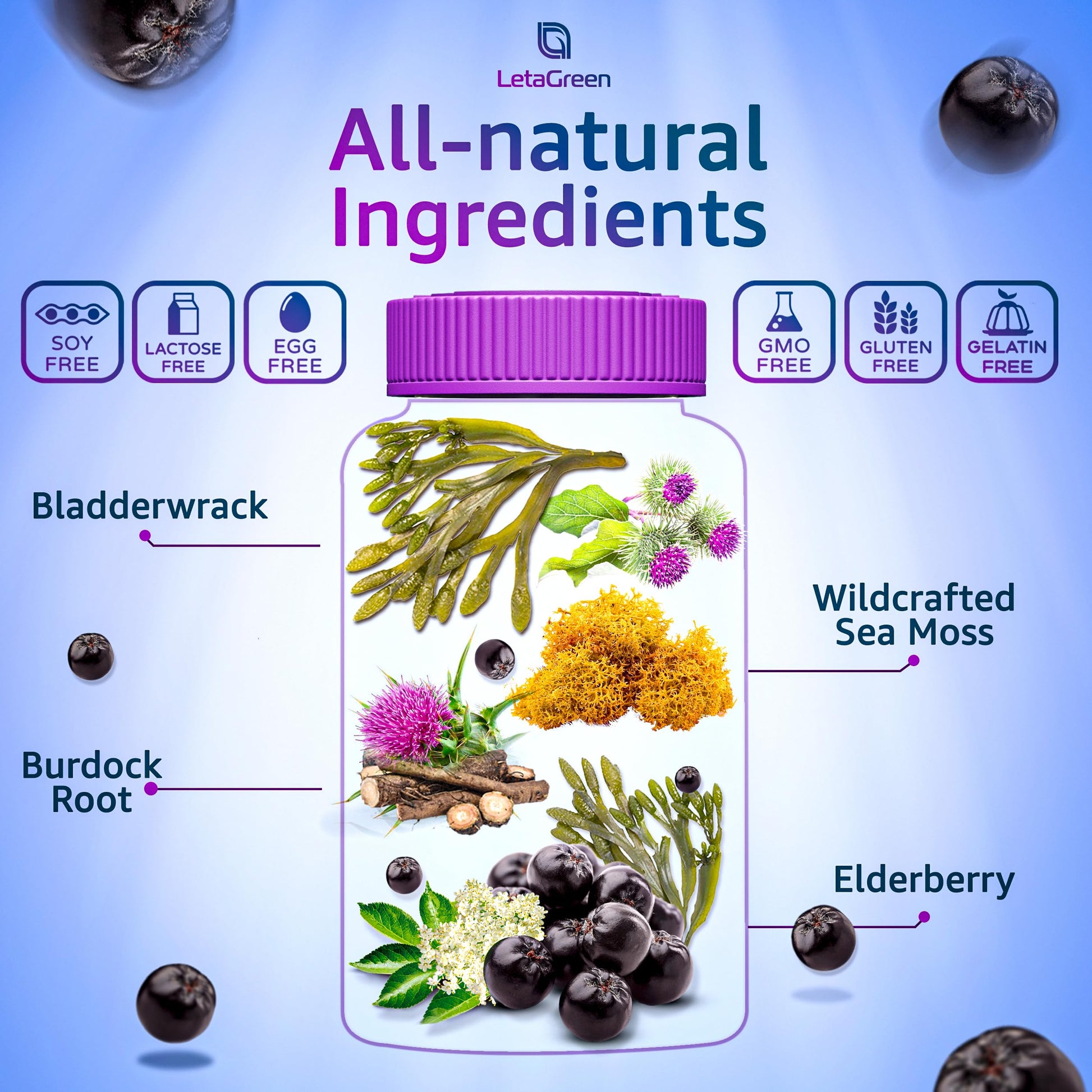 LetaGreen Irish Sea Moss Gummies - 60 Vegan Seamoss Gummies Bears LetaGreenUS supplements