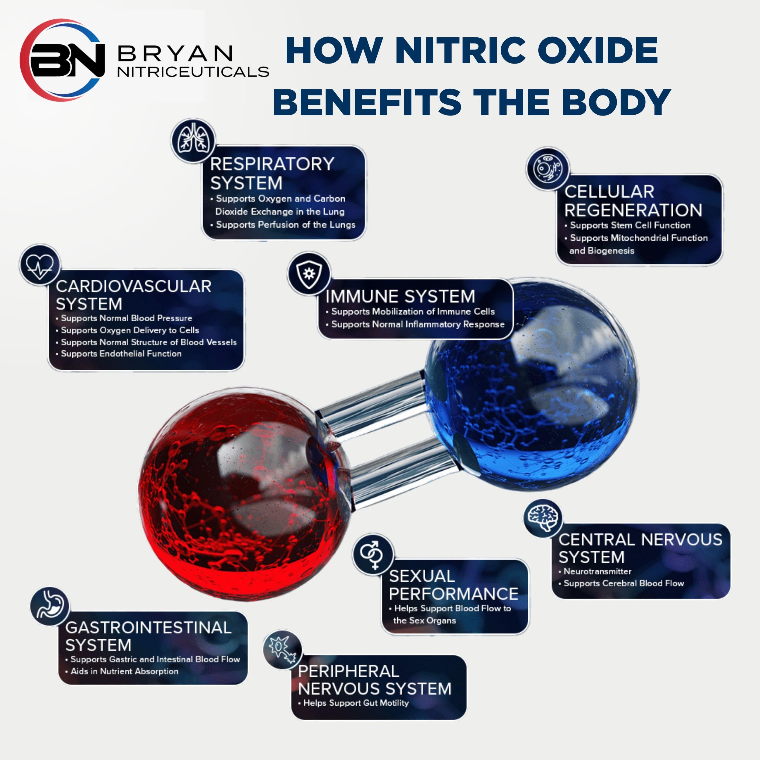 Bryan Nitriceuticals N.O. Beetz Nitric Oxide Fueled Energy Boost Supplement, Hydration & Cellular Energy Production Enhancer, Blend of Vitamins and Minerals (30 Servings) Bryan NitriceuticalsAu supplements