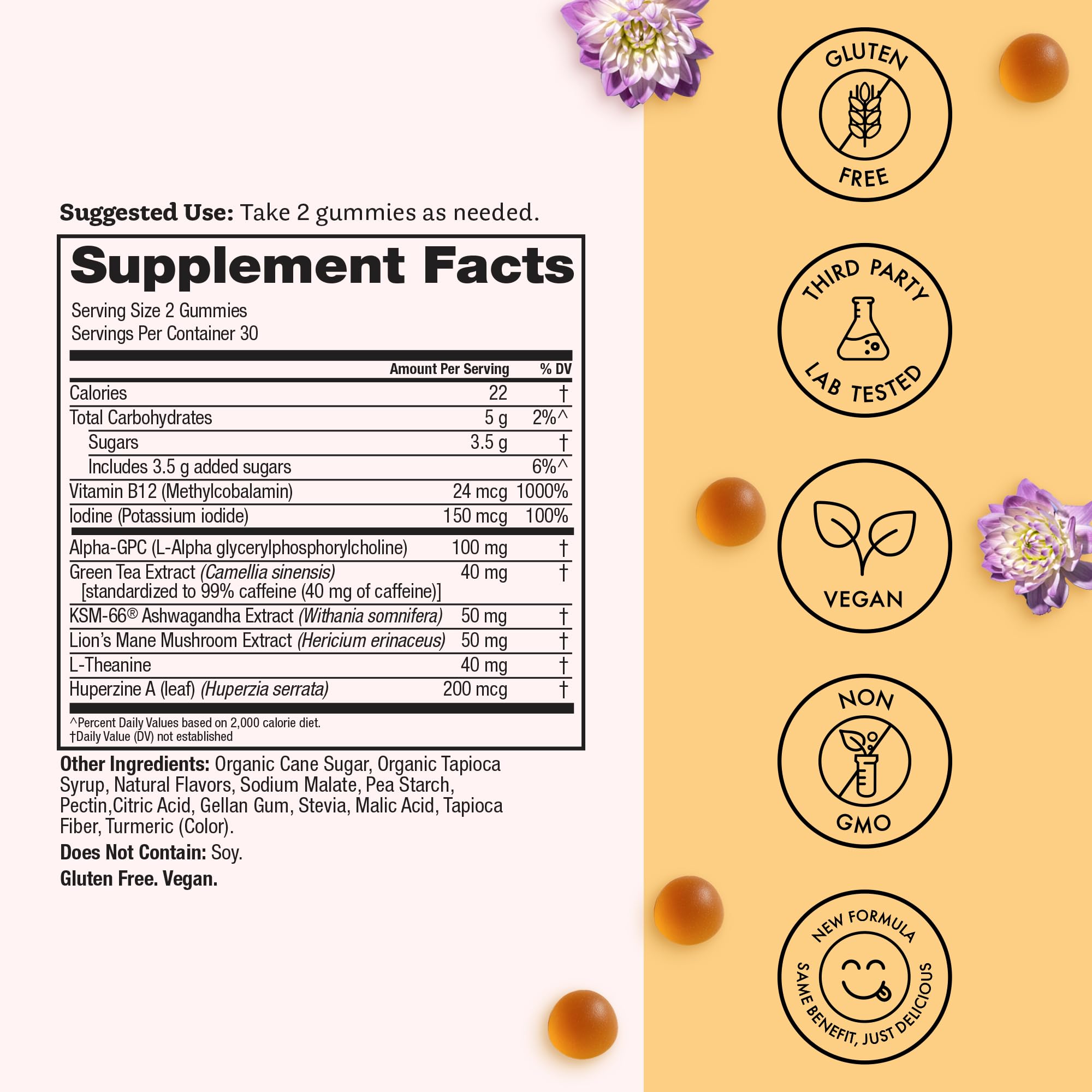 Winged Wellness Rise Up, Energy & Focus Gummies for Women - Daily Brain Boost Gummy Supplement with Natural Caffeine, Ashwagandha, B12, Nootropics Alpha-GPC & Lion’s Mane - Pineapple, 60 Gummies Winged WellnessAu supplements