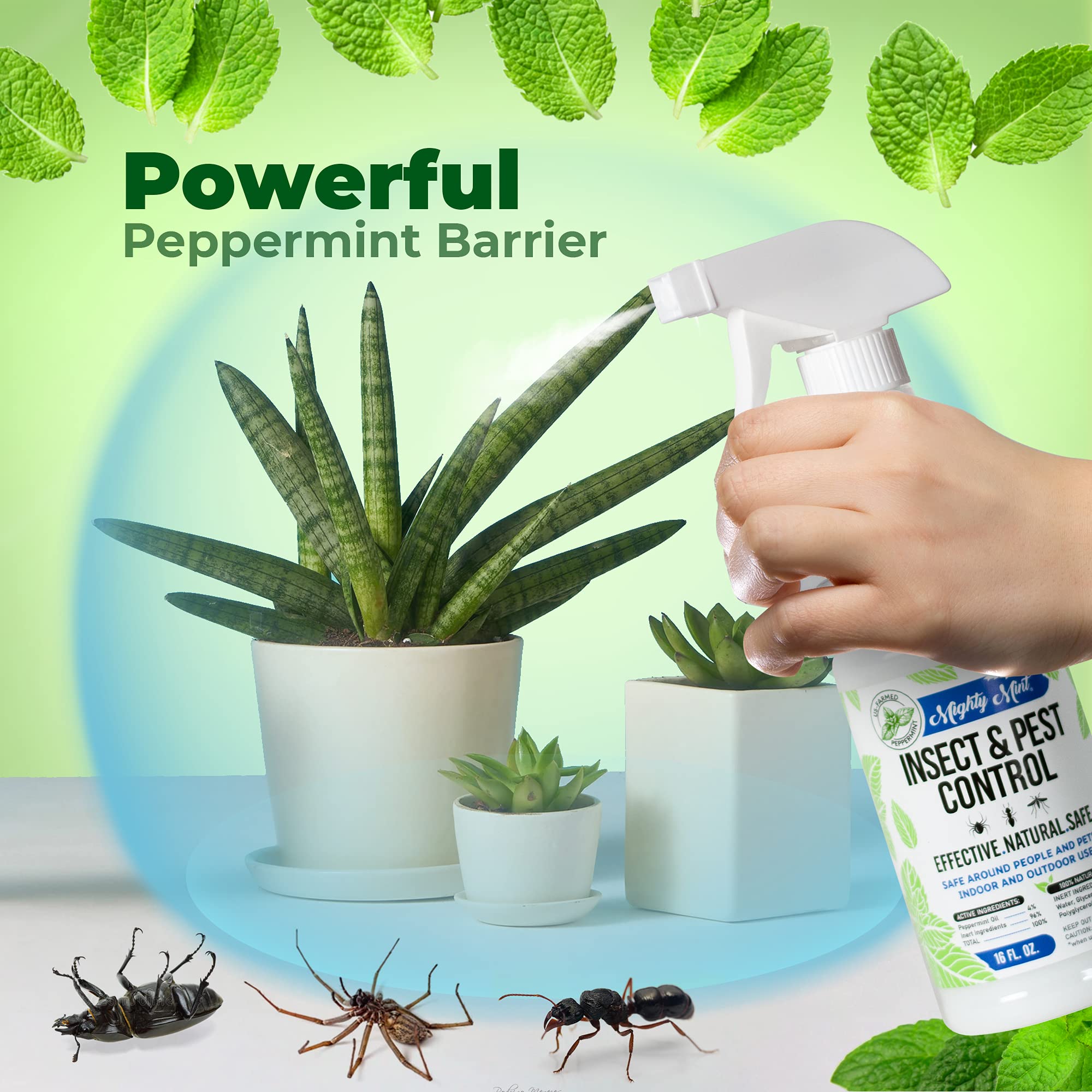 Mighty Mint 16 oz Peppermint Oil Insect & Pest Spray - for Spiders, Ants Mighty MintAu supplements