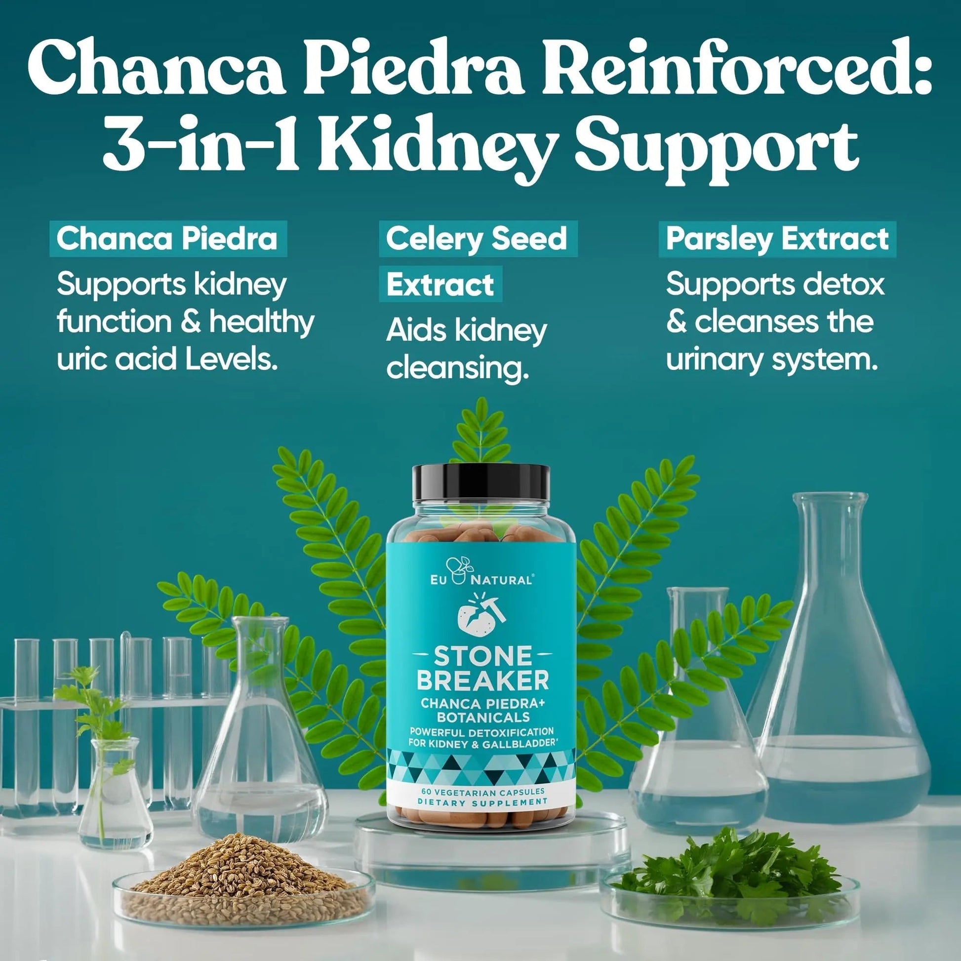 Chanca Piedra Stone Breaker - The Original Stone Breaking Formula with Celery Seed & Parsley - Supports Kidney, Gallbladder & Urinary Tract Cleansing to Help Flush Impurities - 60 Vegetarian Capsules Eu NaturalAu supplements
