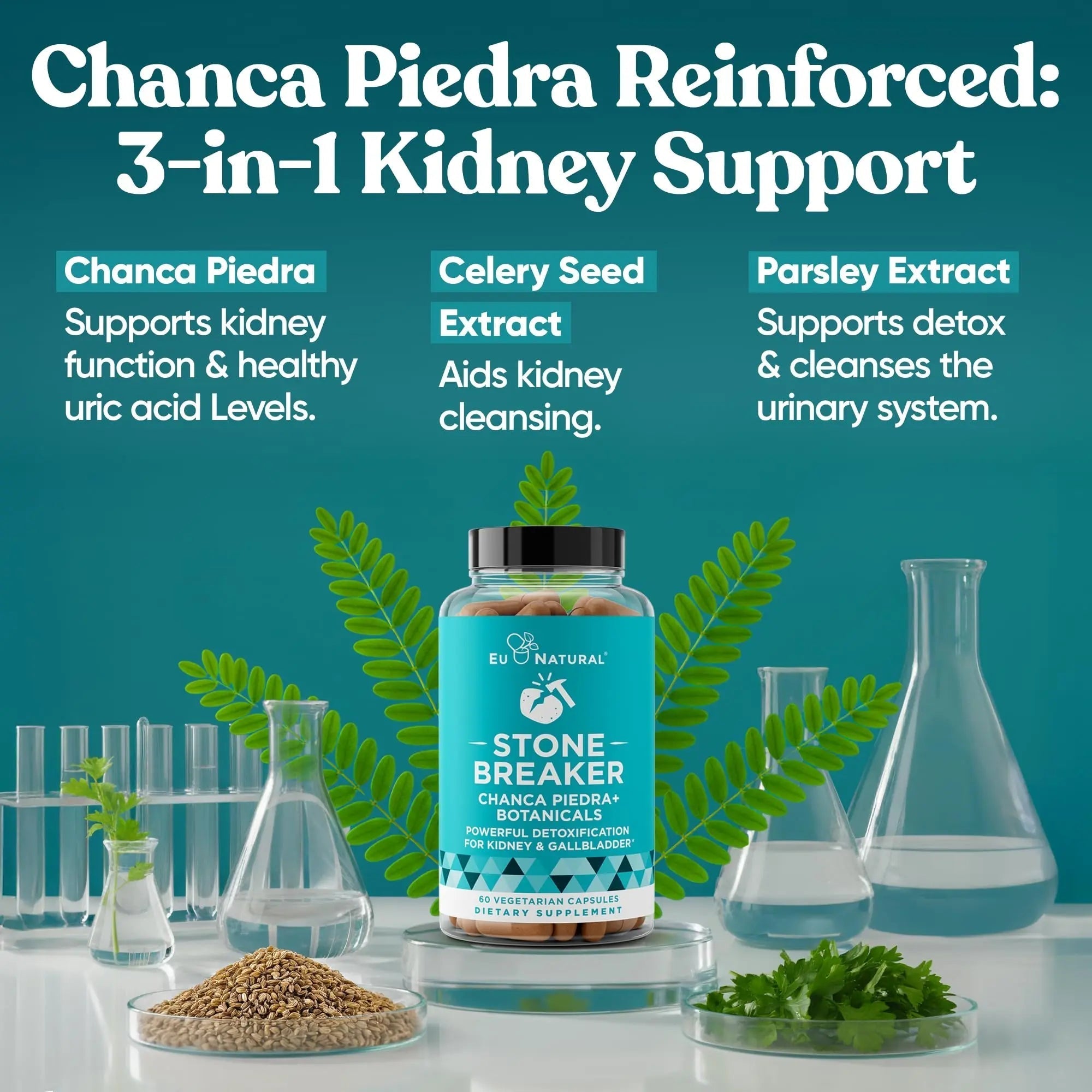 Chanca Piedra Stone Breaker - The Original Stone Breaking Formula with Celery Seed & Parsley - Supports Kidney, Gallbladder & Urinary Tract Cleansing to Help Flush Impurities - 60 Vegetarian Capsules Eu NaturalAu supplements