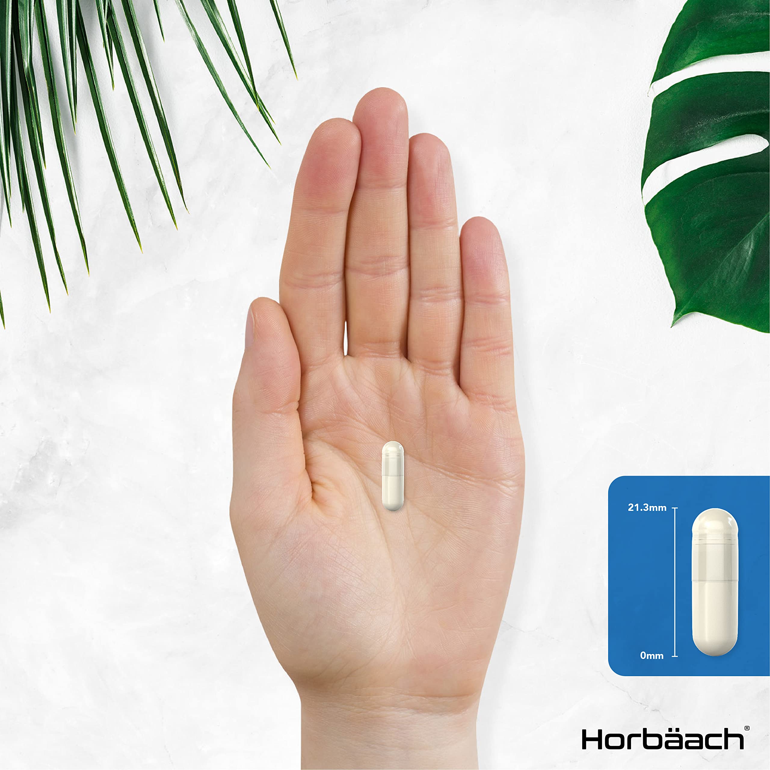 Vitamin B3 Niacin 500mg | 90 Vegan Capsules | Flush Free Nicotinamide Supplement HorbäachUS supplements
