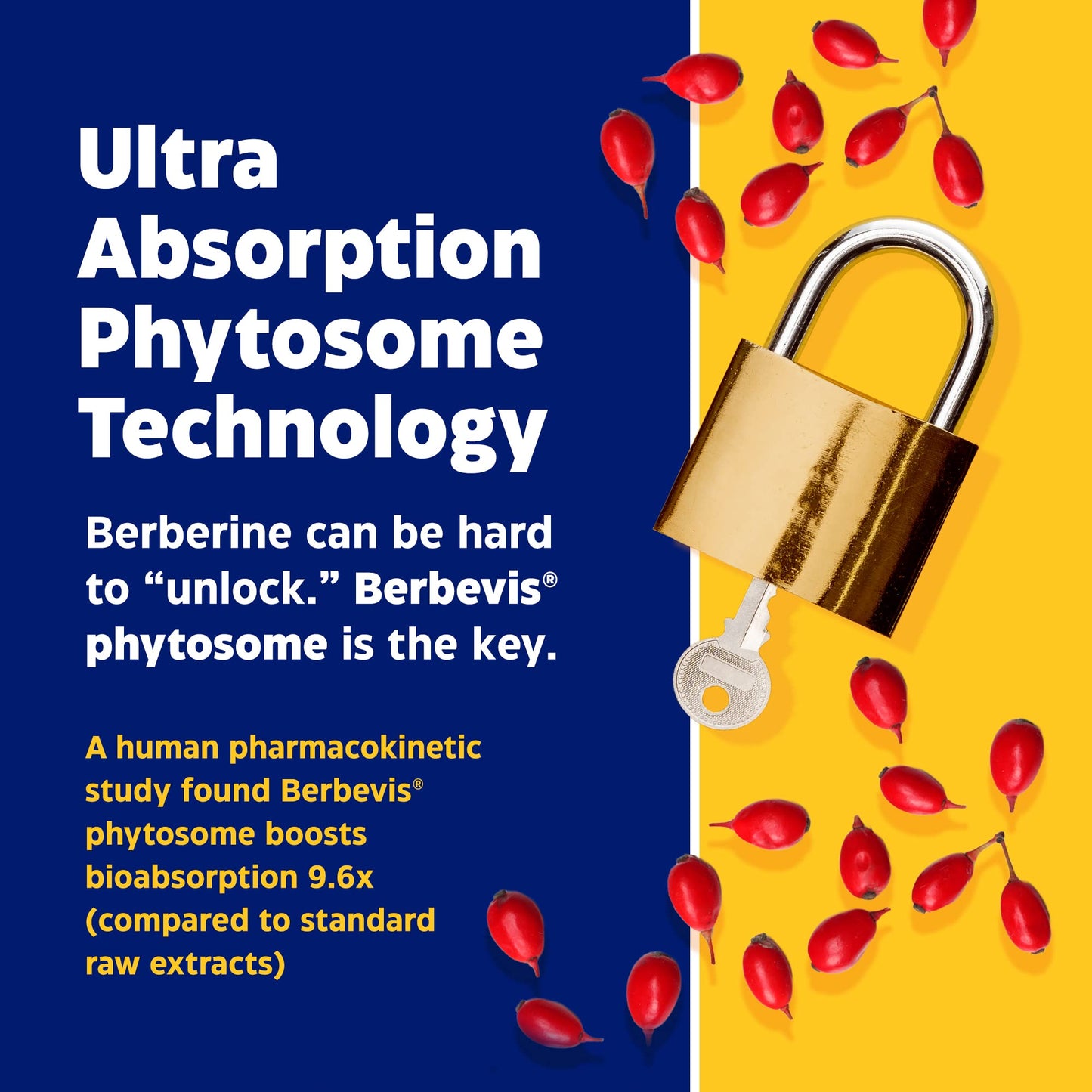 Enzymedica, Berberine Phytosome EnzymedicaUS supplements