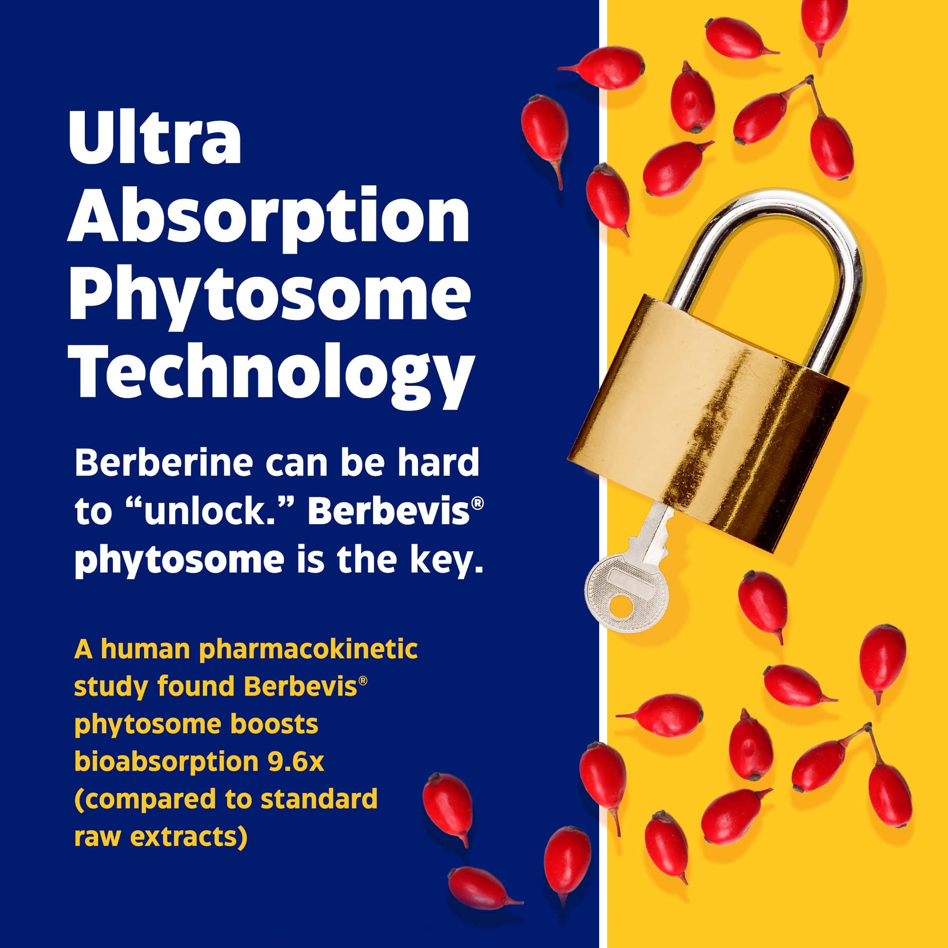 Enzymedica, Berberine Phytosome EnzymedicaAu supplements