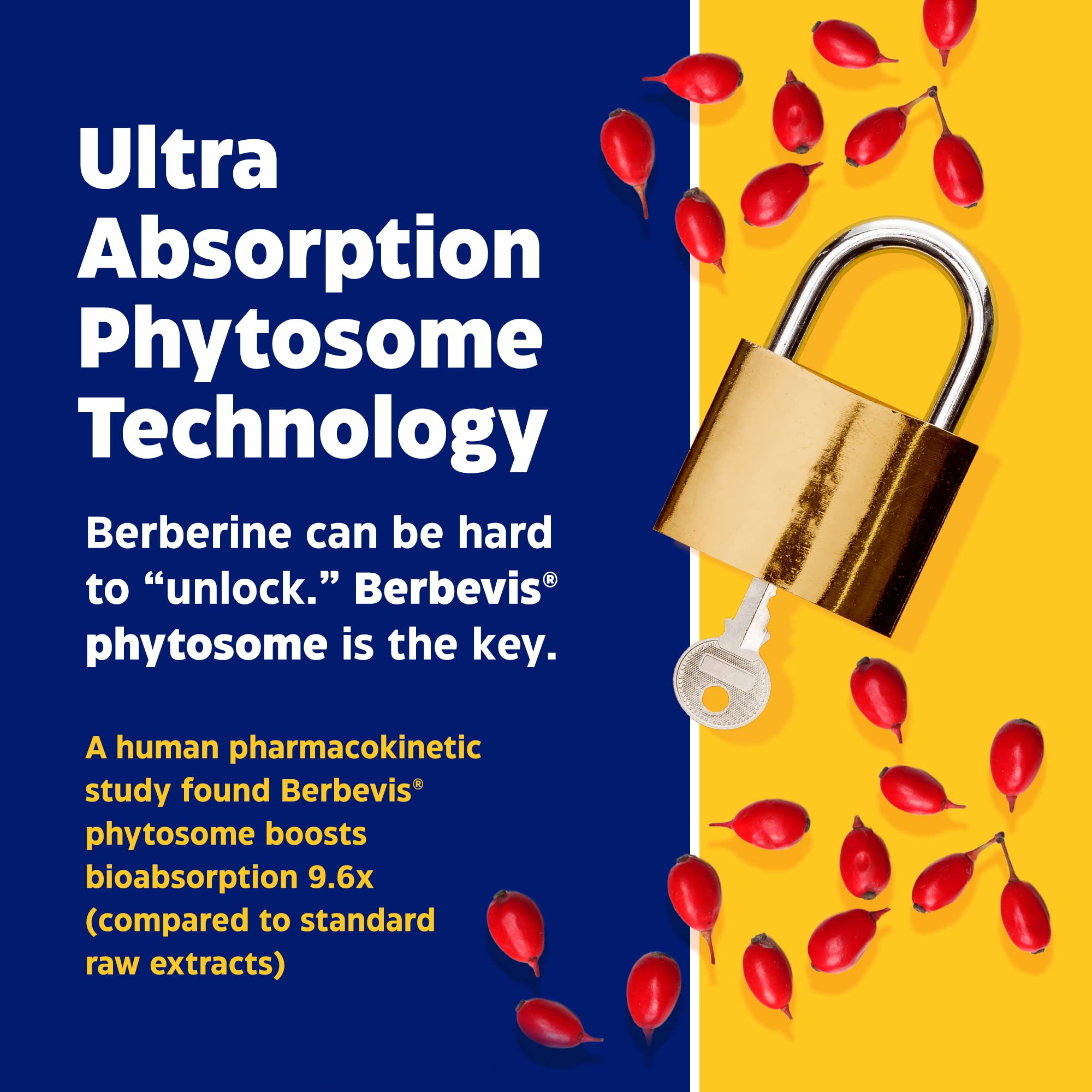 Enzymedica, Berberine Phytosome EnzymedicaAu supplements