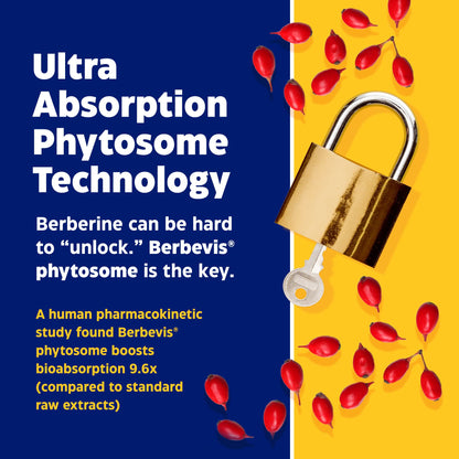 Enzymedica, Berberine Phytosome EnzymedicaUS supplements