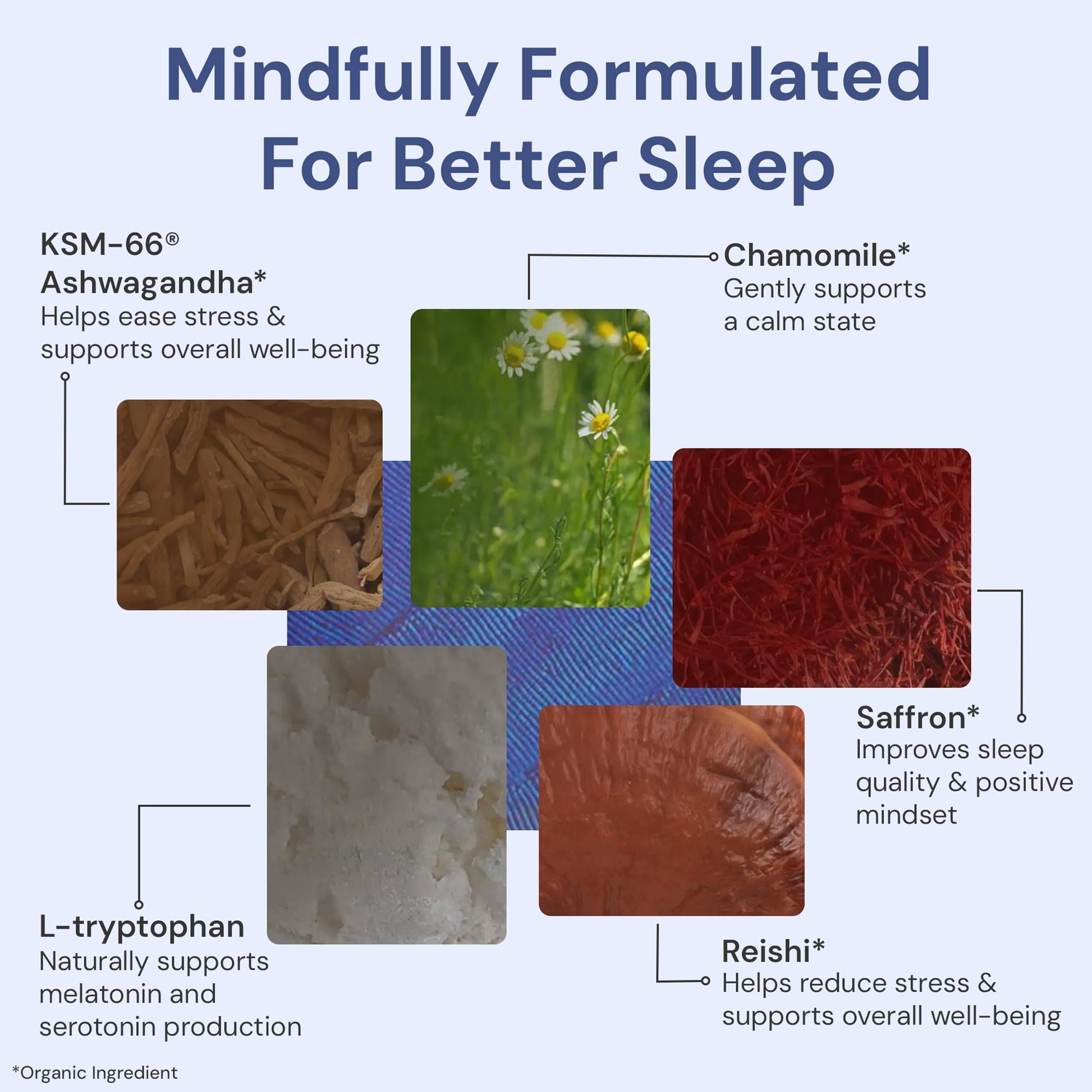 ION* Intelligence of Nature Restful Sleep - Ashwagandha Calm Sleep Aid Powder Drink Mix for Restful Night with Magnesium and L Theanine for Women and Men - 5 Packets ION* Intelligence of NatureAu supplements
