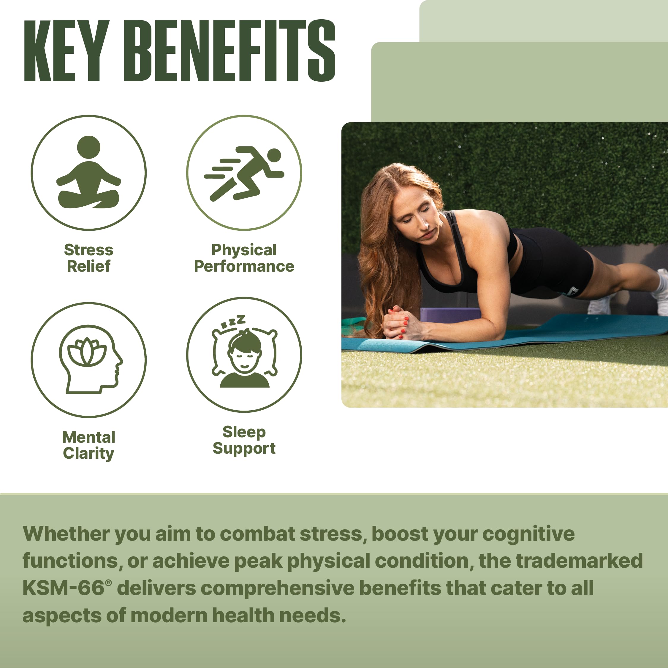 NutraBio Ashwagandha KSM-66 | Ashwagandha Herbal Supplement for Stress, Mood, & Performance | 600 MG of Clinically Studied KSM66 60 Capsules NutraBioAu supplements