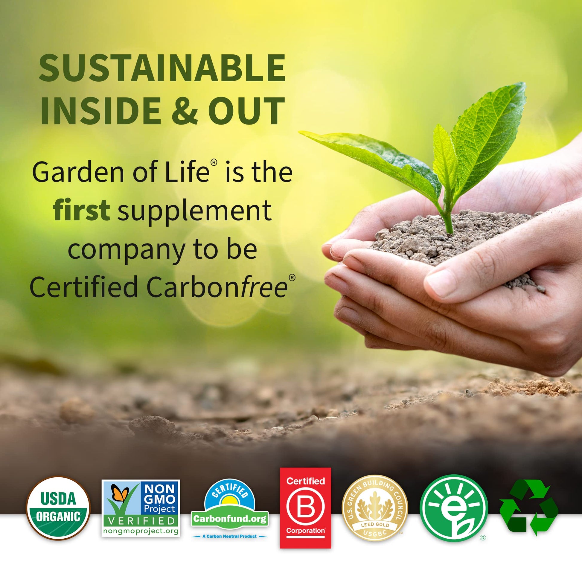 Organic Vegan Vanilla Protein Powder - Garden of Life – 22g Complete Plant Based Raw Garden of LifeUS supplements
