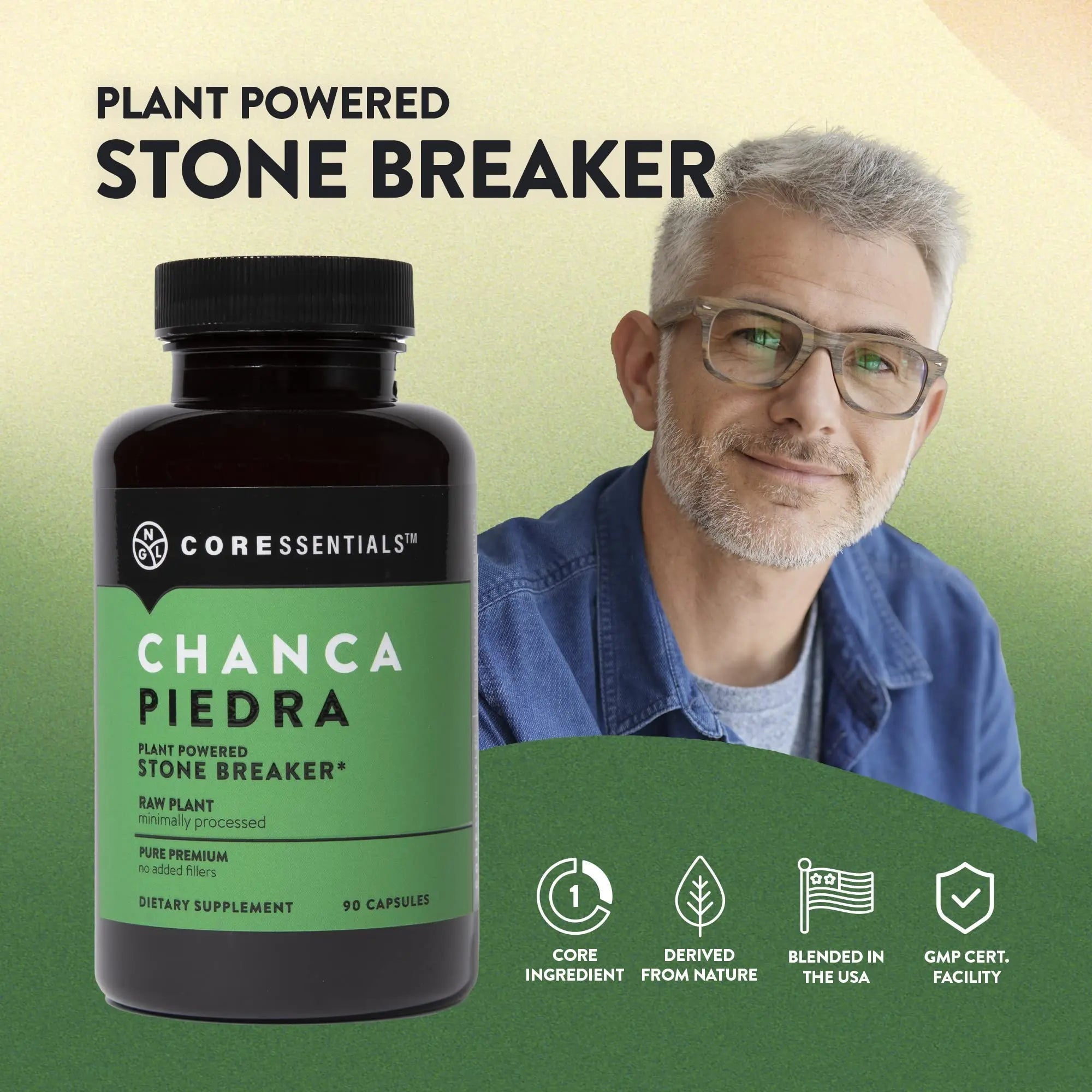 NGL Chanca Piedra Pure Stone Breaker 1,300mg - Kidney, Renal, Gallbladder Support Phyllanthus niruri - All Natural Herbal Detox Urinary Tract, Removes Impurities - 90 Capsules NGLAu supplements