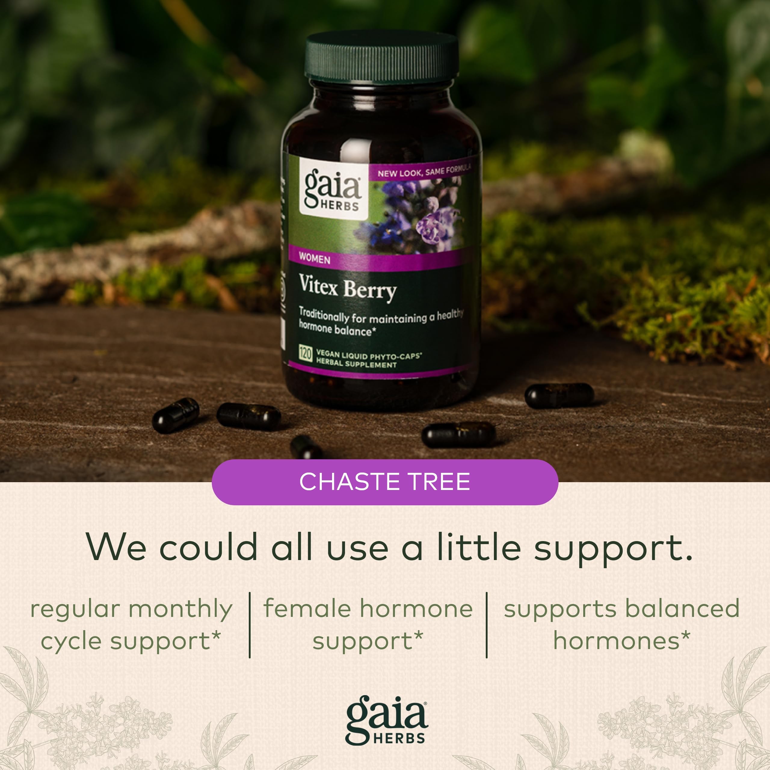 Gaia Herbs Vitex Berry (Chaste Tree) - Supports Hormone Balance & Fertility Gaia HerbsAu supplements