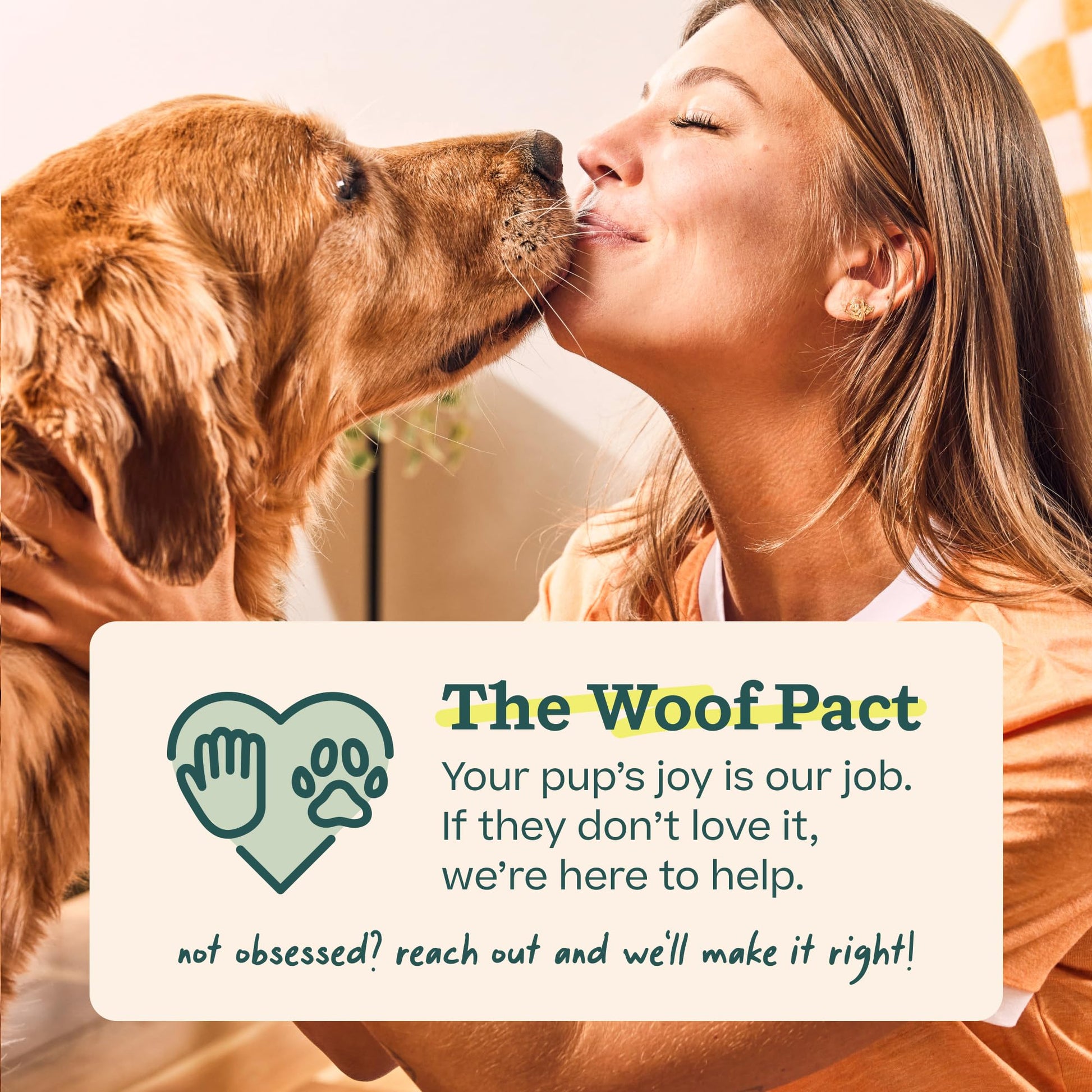 Woof Doggy Dental Pupsicle Mix - Dog Teeth Cleaning Powder for The Pupsicle - Long Lasting Postbiotic Dental Enzyme Mix to Support Oral Health for Dogs WOOFAu supplements
