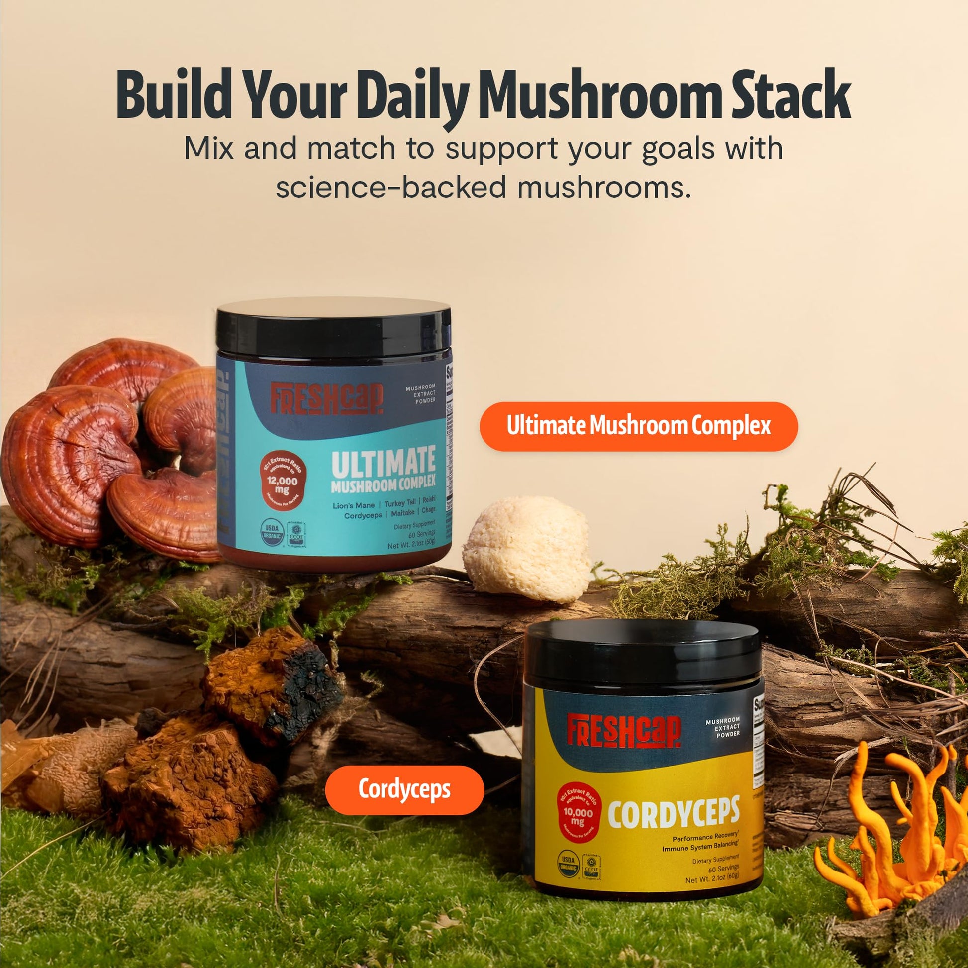 FreshCap Mushrooms Ultimate Mushroom Supplement Powder 12,000mg - Nootropic Organic Mushroom Complex for Focus & Memory, Brain Support Supplement, Ayurveda Mushroom Powder Extract (60 Servings) FreshCap MushroomsAu supplements