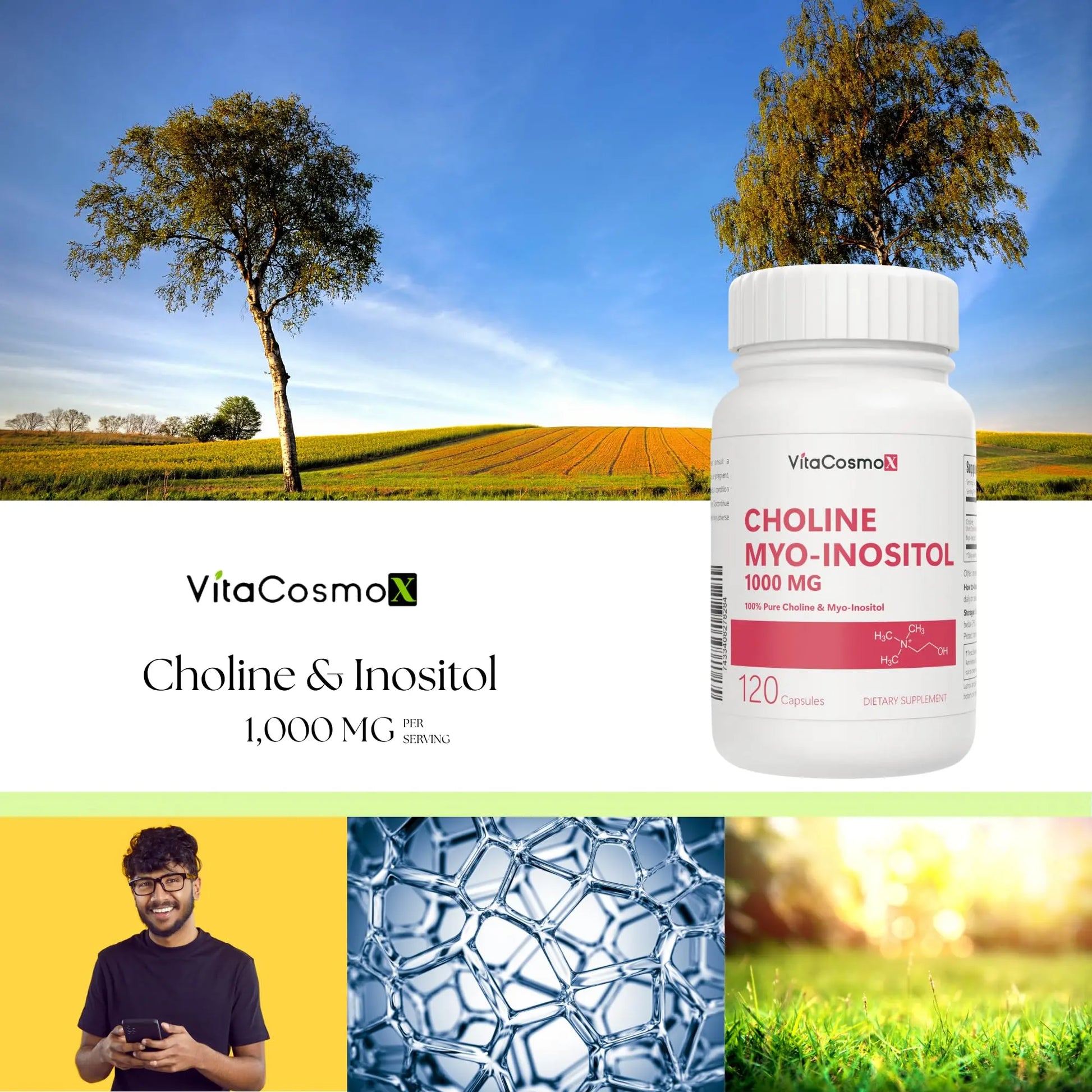 VitaCosmoX Choline and Myo-Inositol Supplement, 1000 mg Each, 120 Veggie Capsules 100% Vegetarian, Non-GMO & Gluten Free VitaCosmoXnz supplements