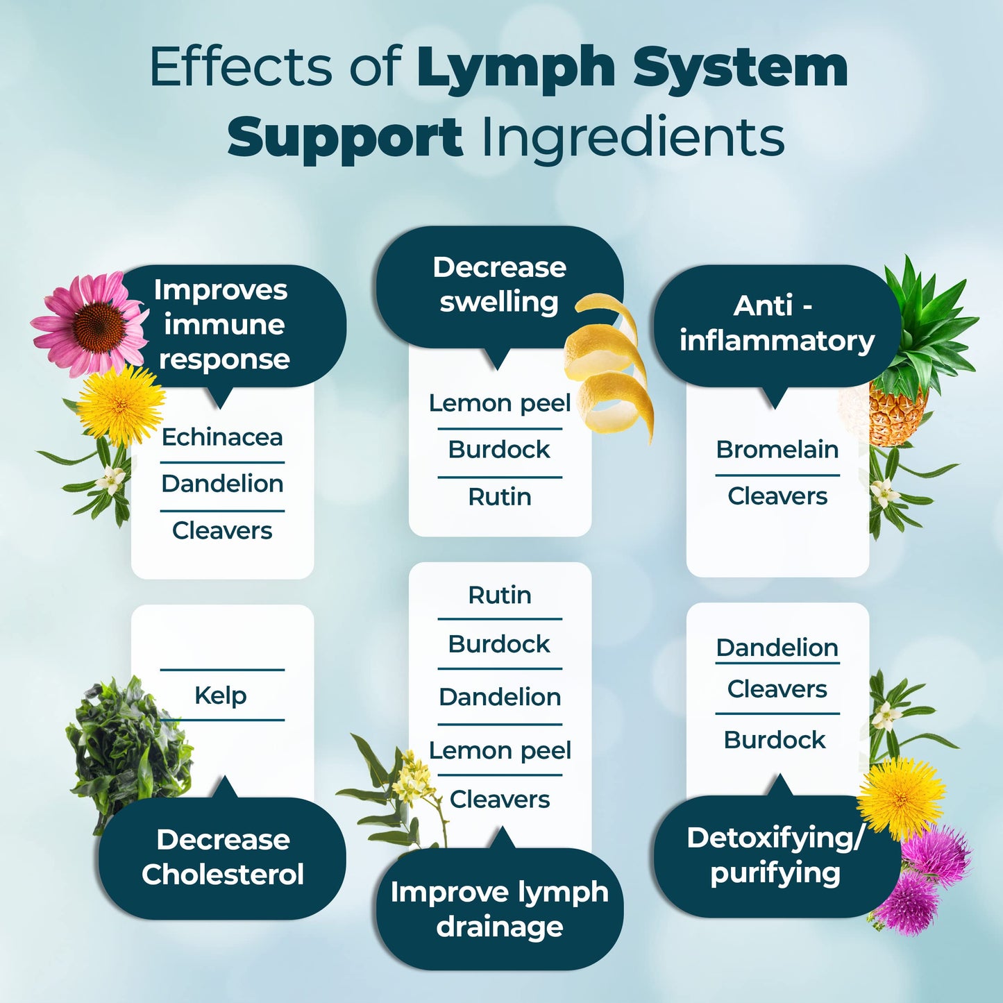 PUREHEALTH RESEARCH Lymph System Support Supplement - Lymphatic Drainage Supplement PUREHEALTH RESEARCHUS supplements