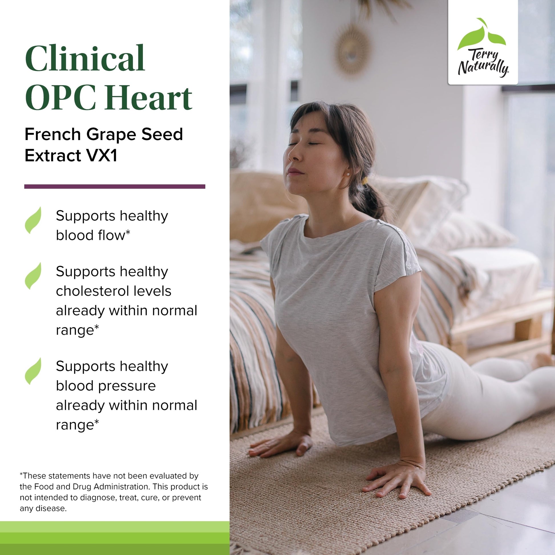 Terry Naturally Clinical OPC Heart - Heart Health Supplement with Magnesium, Vitamin B6, Grape Seed Extract - Dietary Supplement for Artery Health & Circulation - 60 Capsules Terry NaturallyAu supplements