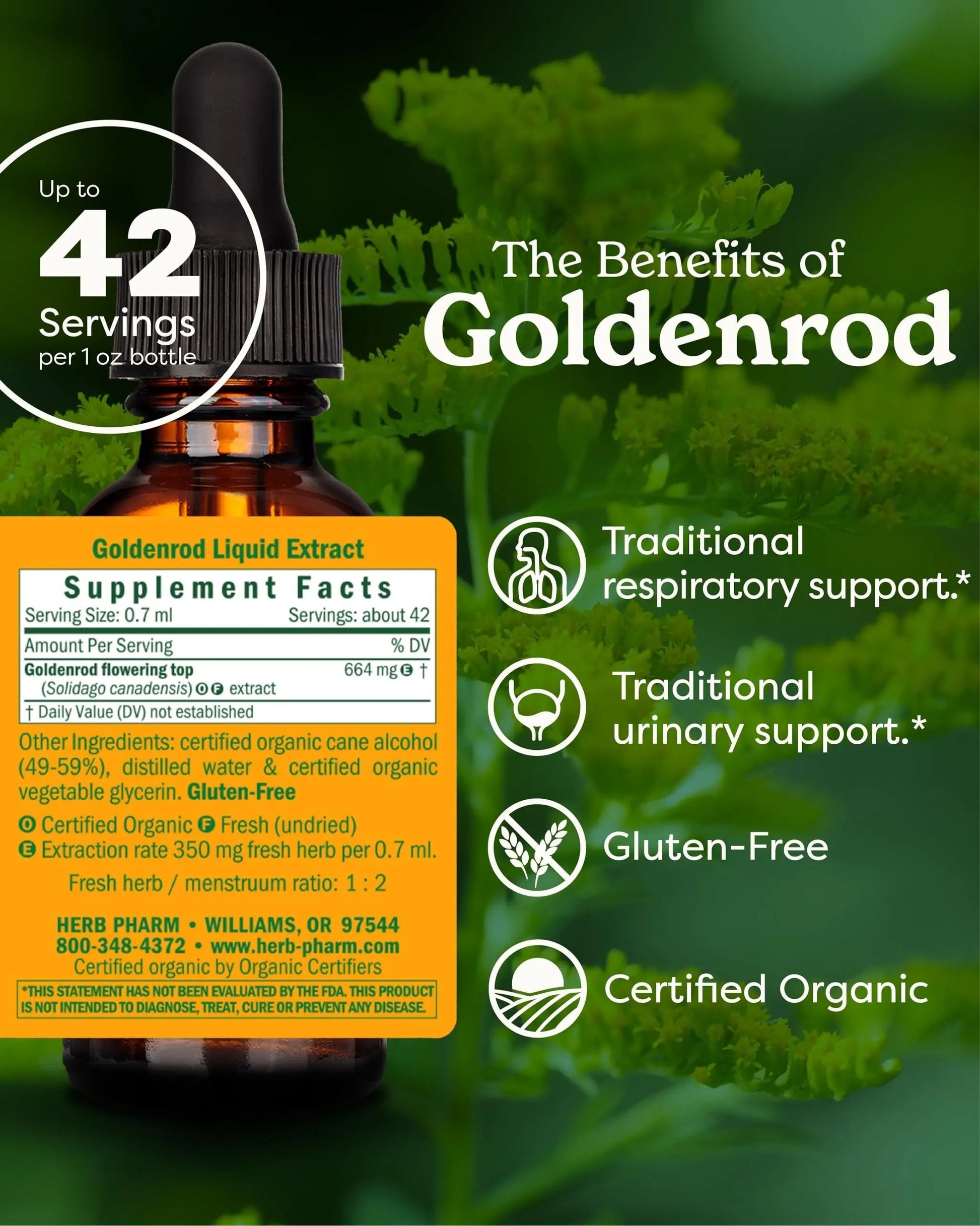 Herb Pharm Certified Organic Goldenrod Liquid Extract for Urinary System Support, 1 Fl Oz (Pack of 1) Herb PharmAu supplements