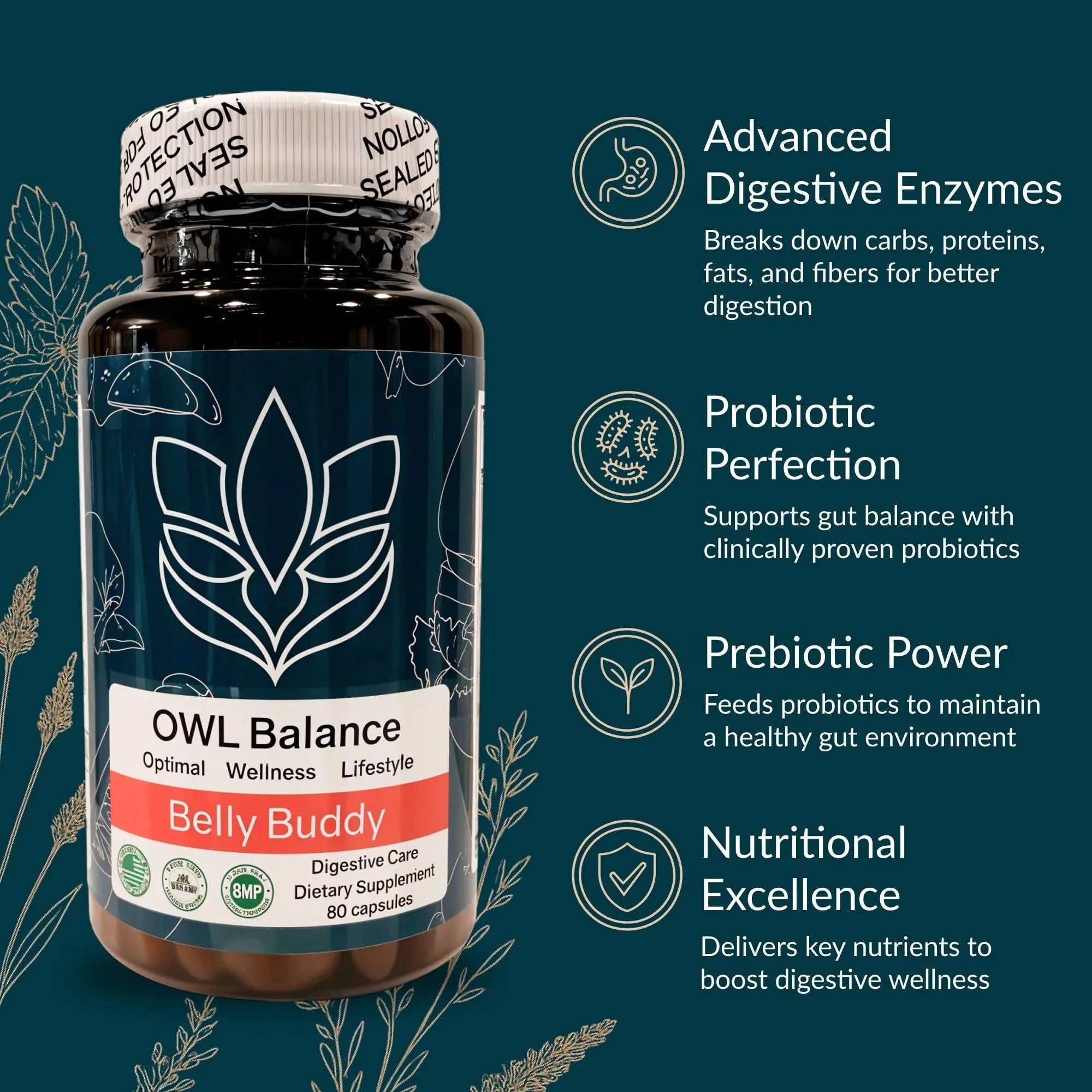 Belly Buddy Advanced Gut Health Support containing a helthy Blend of Probiotics, Prebiotics, and Digestive Enzymes OWL Balancenz supplements