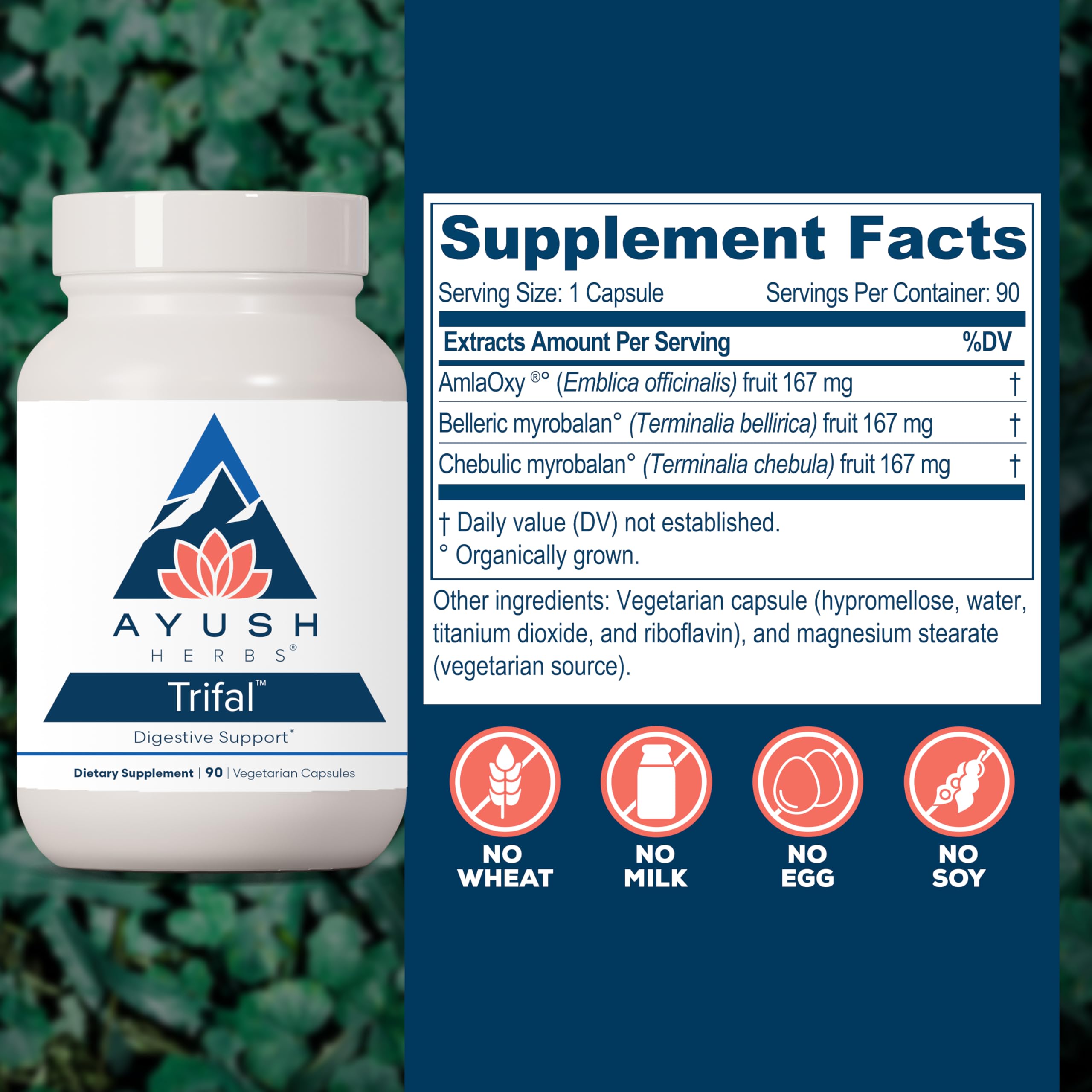Ayush Herbs Trifal Digestive Support with Amla - Triphala Supplement for Women & Men, Promotes Balanced Digestion, Antioxidant Rich, Made with Organic Ingredients - 90 Vegetarian Capsules (1 Count) Ayush HerbsAu supplements