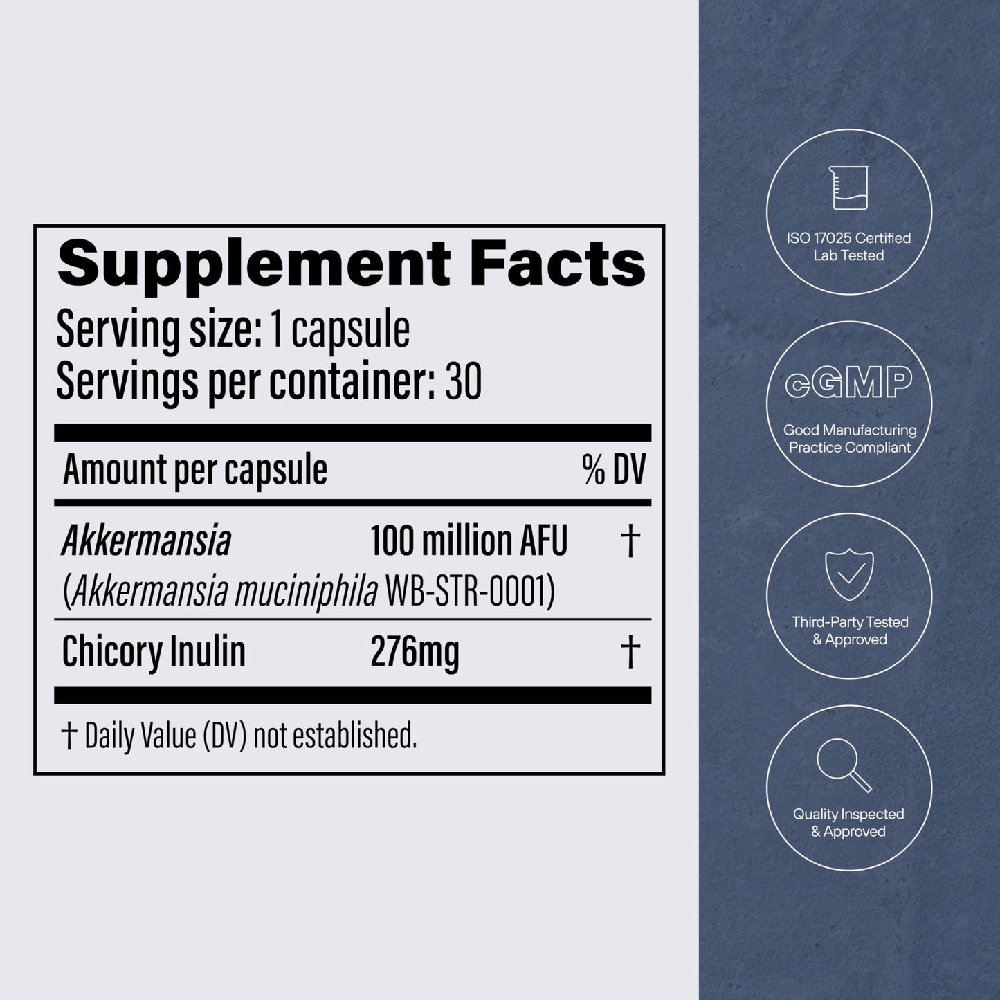 Pendulum Akkermansia Probiotic with Prebiotic Fiber - Delayed Release Capsules, Third-Party Tested, Authentic 100M AFU Live Strain for Gut Health PendulumUS supplements