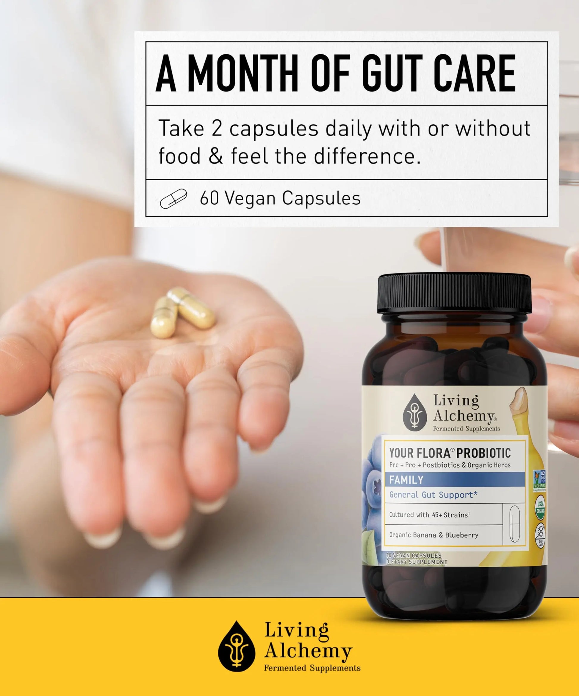 Your Flora Probiotic Family – Non-GMO Probiotics with Fermented Soybean, Banana, & Blueberry for Digestion & Gut Support – Prebiotics, Postbiotics, Digestive Enzymes – Living Alchemy, 60 Capsules Living Alchemynz supplements
