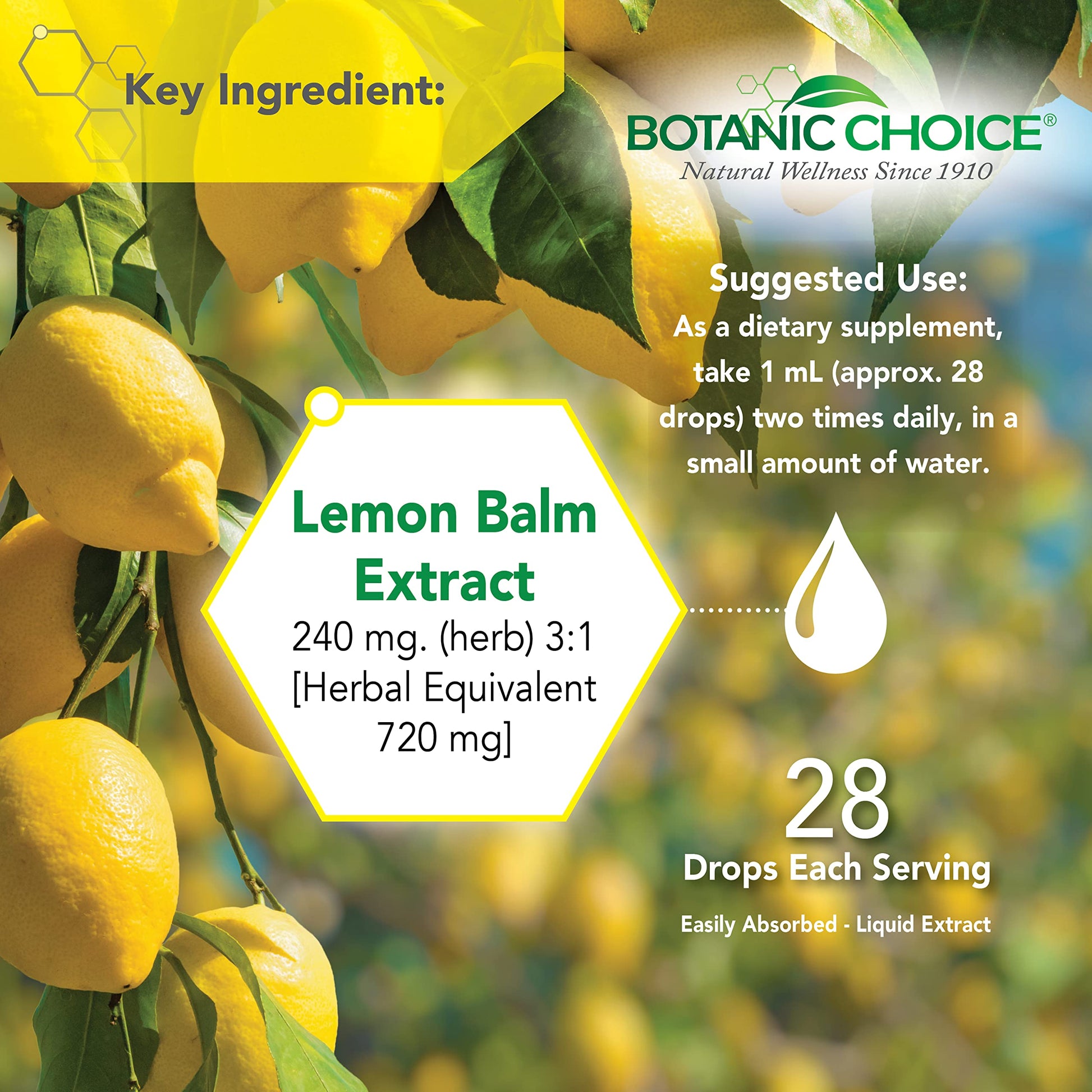 Botanic Choice Mega Fruits and Veggies Blend (60 Capsules) + Lemon Balm Tincture (1 fl oz) Bundle - Energy Balance & Superfood Supplement + Relaxation and Sleep Support Botanic ChoiceAu supplements